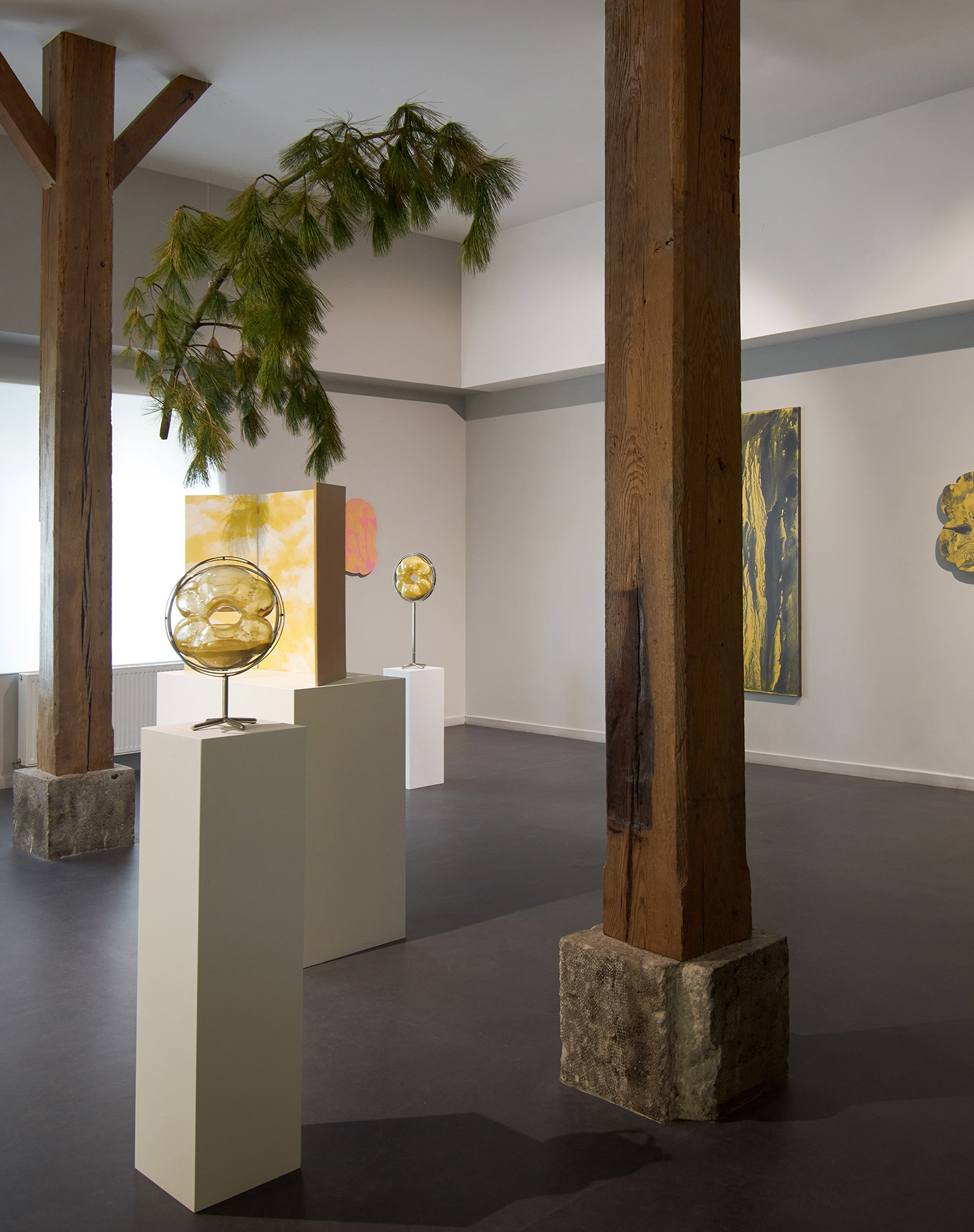 From a branch I had climbed - Exhibition view