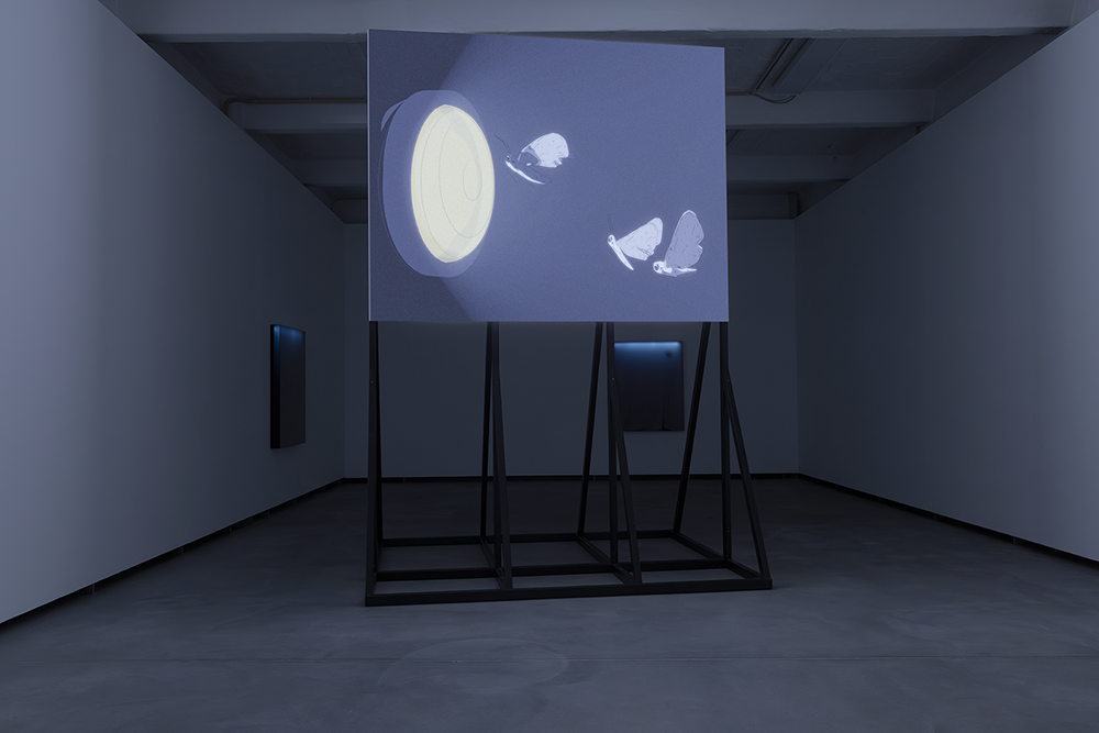 Make the World, 2025