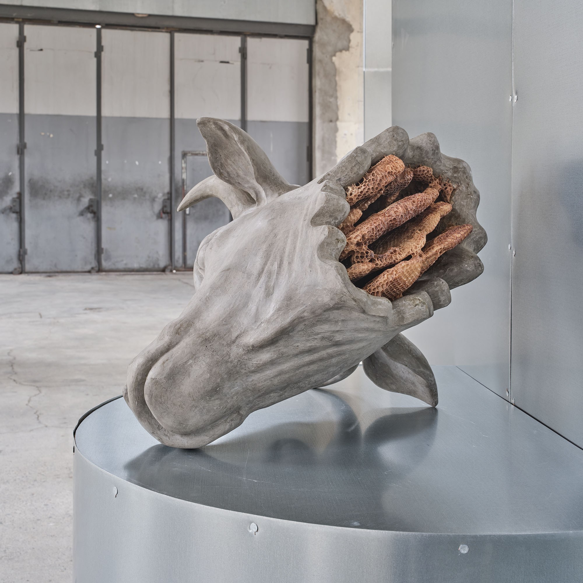 Anna Hulačová, 'To Eternity', Installationsansicht  'Bucolica', Kunstraum Dornbirn 2025, Foto Günter  Richard Wett, Privatsammlung Prag, © Anna Hulačová,  courtesy der Künstlerin und hunt kastner, Prag. 