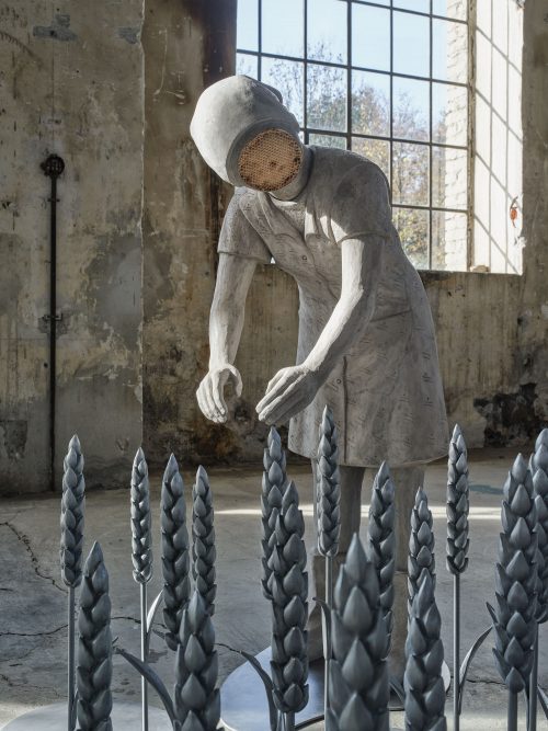 5 Kunstraum Hulacova Wheat Harvest 2025 Photo Wett web