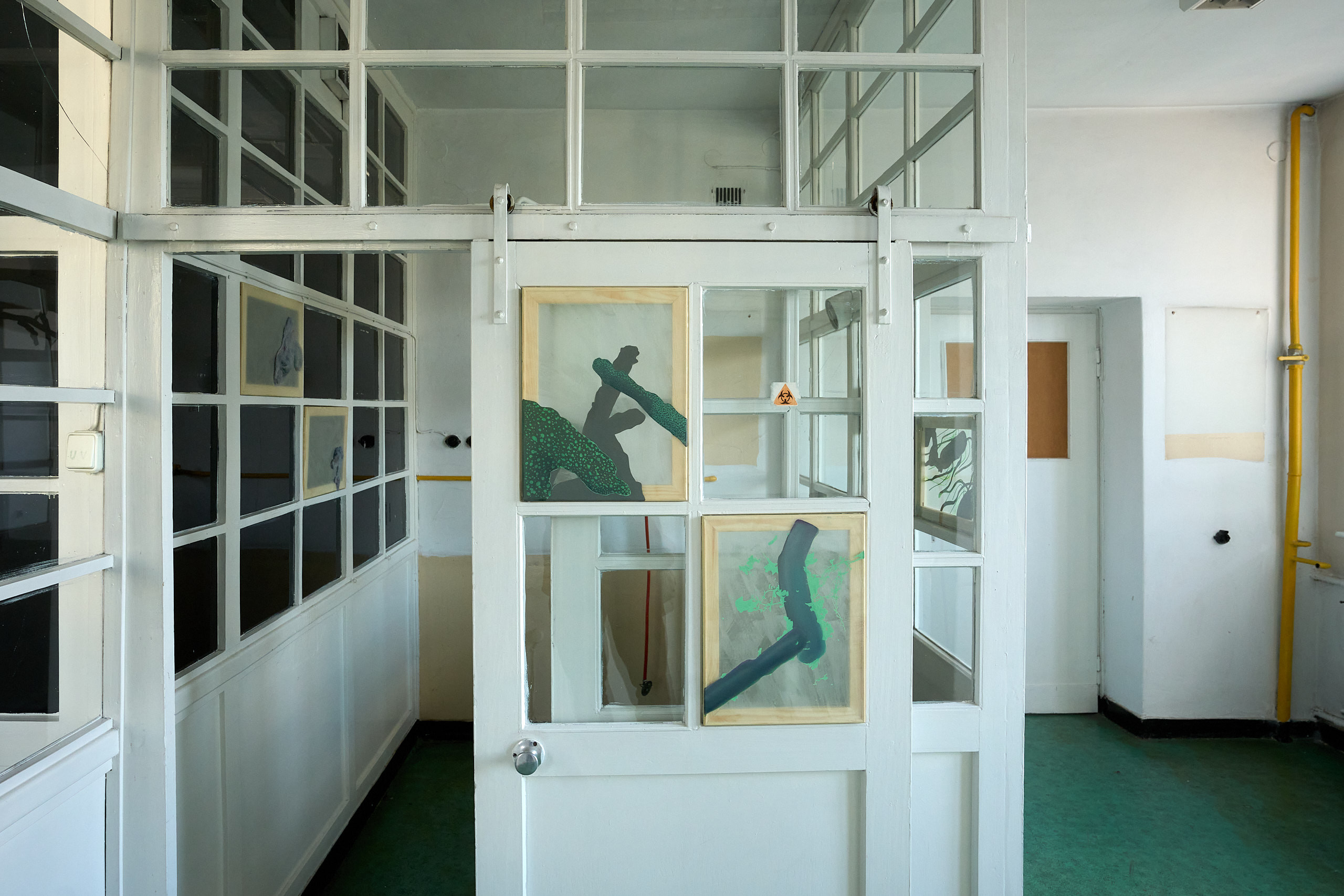 Julia Królikowska, Crustosum, 2025, acrylic and oil on organza, various sizes, site-specific. Photograph: Marcin Sokalski. Courtesy of Julia Królikowska.