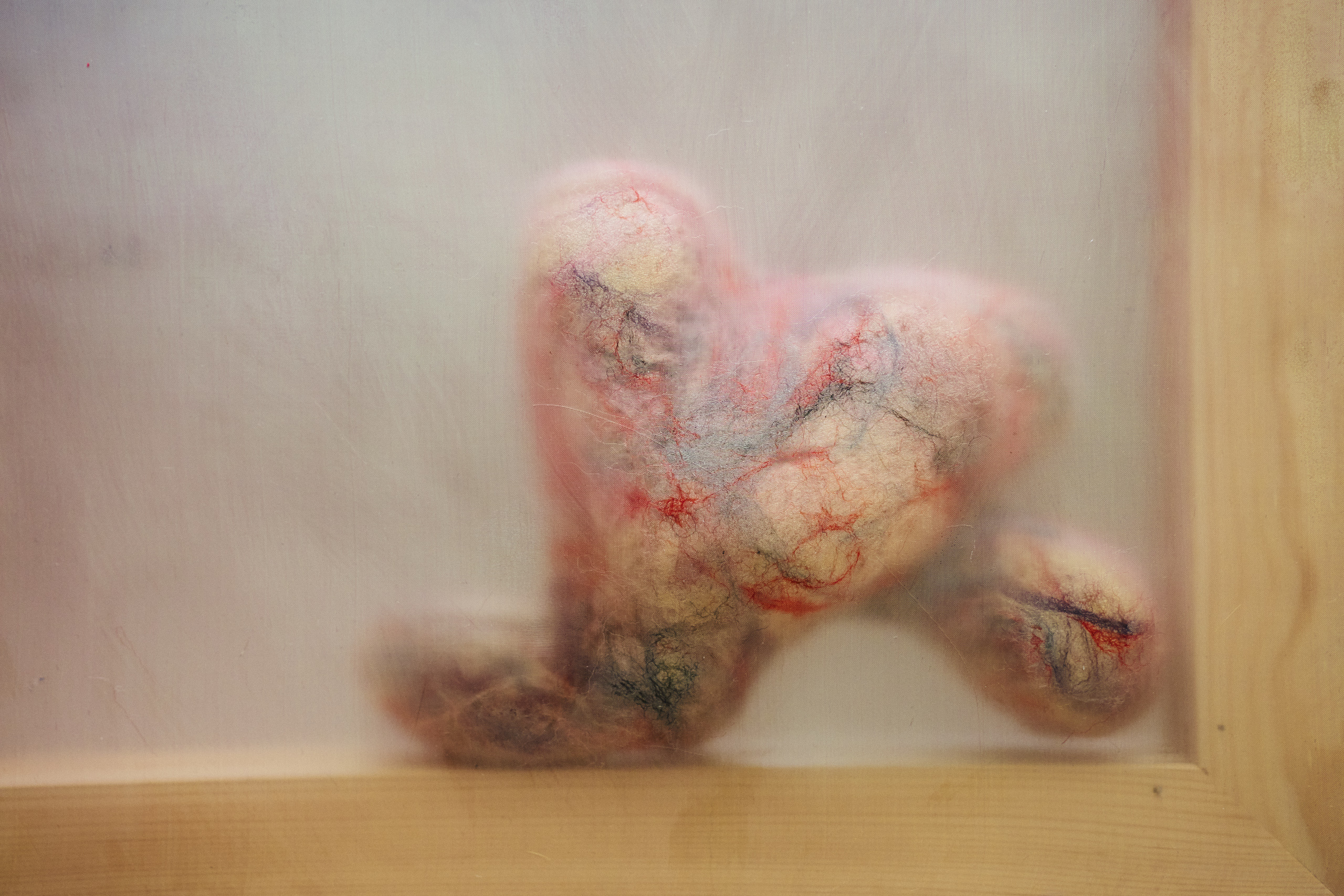 Julia Królikowska, Osierdzie (detail), 2025, painting object, organza, wool, hair, and fur. Photograph: Marcin Sokalski. Courtesy of Julia Królikowska. 