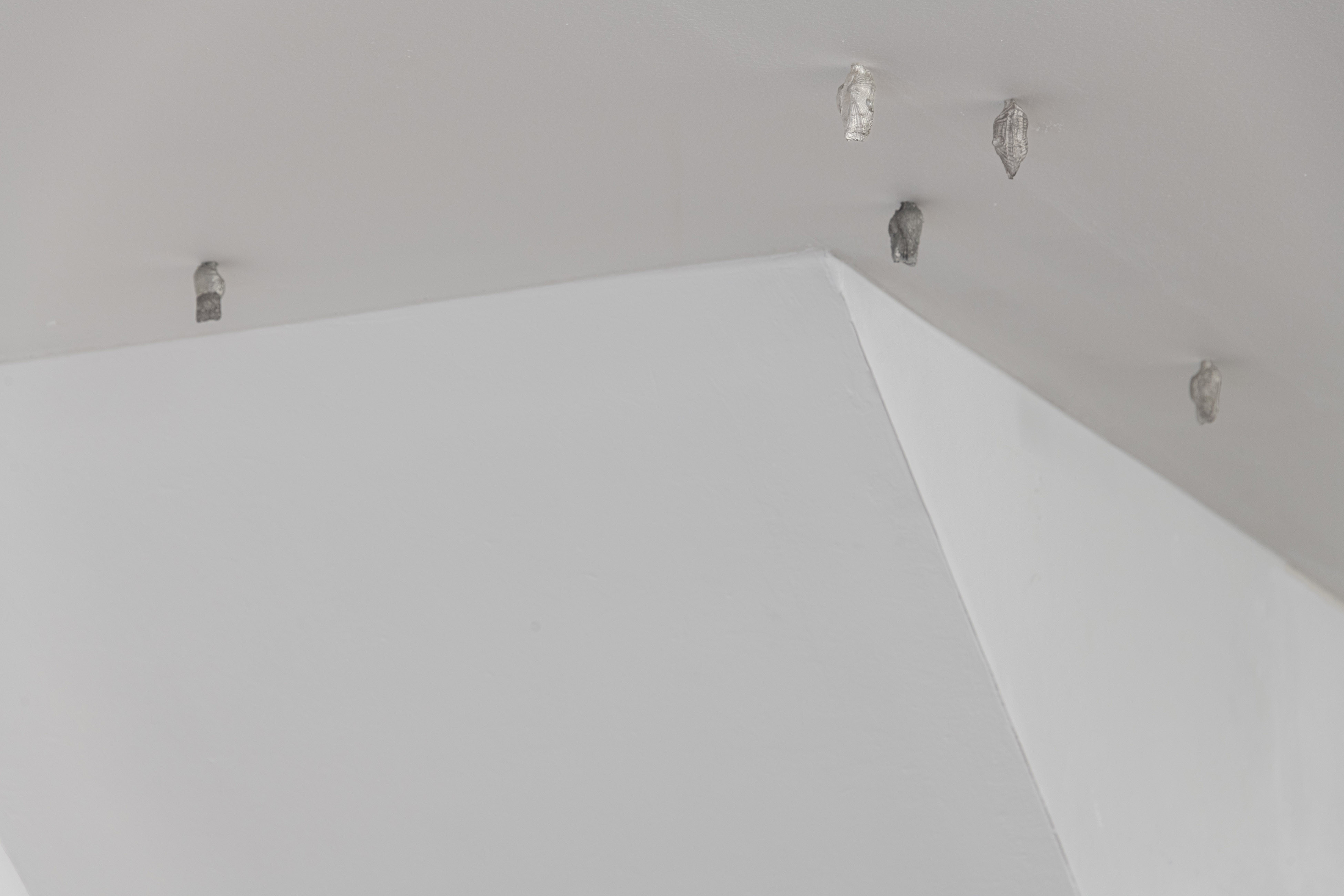 Time before time (Suolo), series, wood box, epoxy resin, wood chipboard, clay, pewter, 70 x 30 x 4 cm, 2025, courtesy of the artist and DES BAINS, London