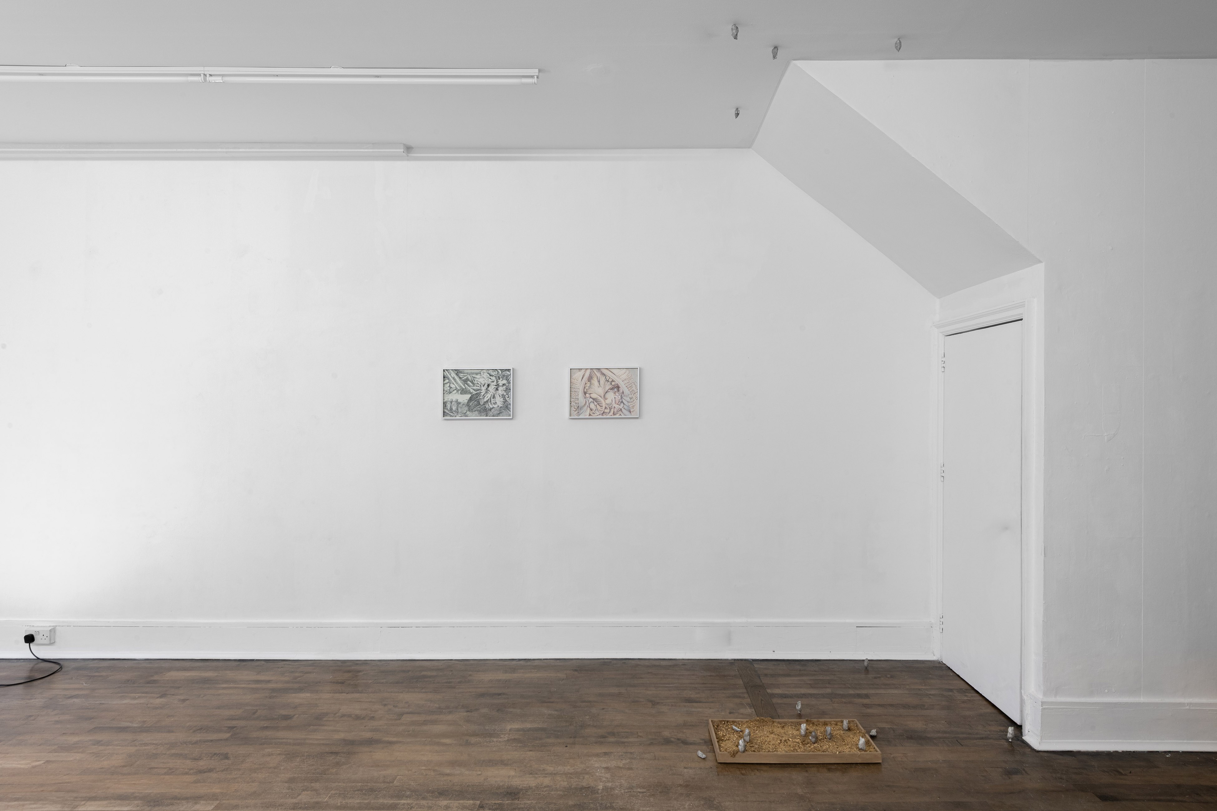 Francesco Pacelli, nineteeneightyseven installation view at DES BAINS, 2025, courtesy of the artist and DES BAINS, London