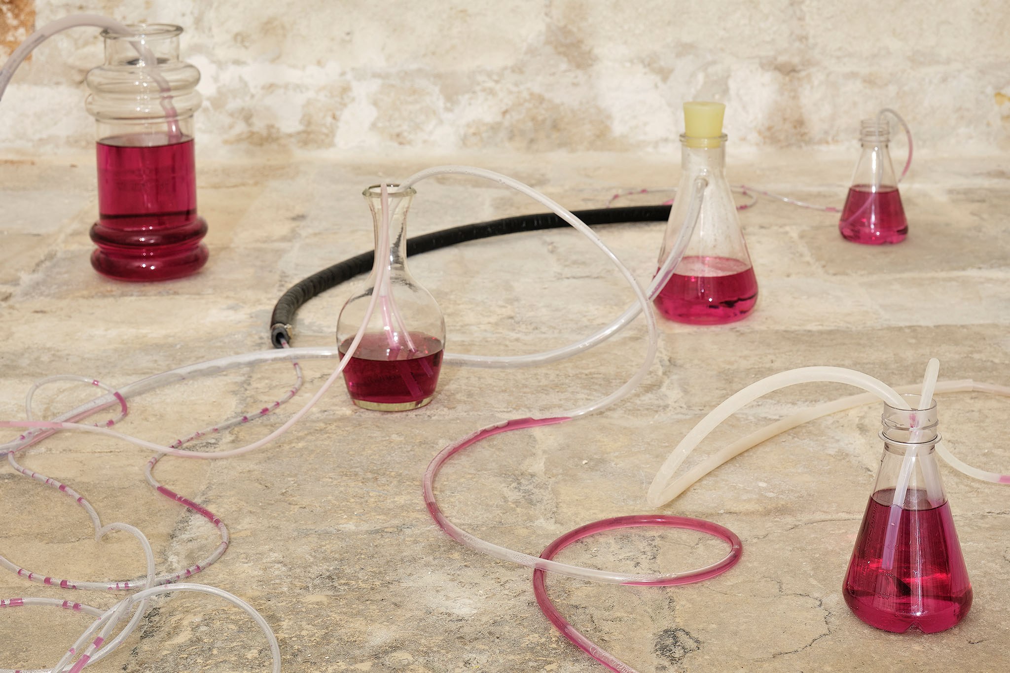 Non è strano che si possa dormire, mentre la luna attraversa il cielo? - Exhibition view