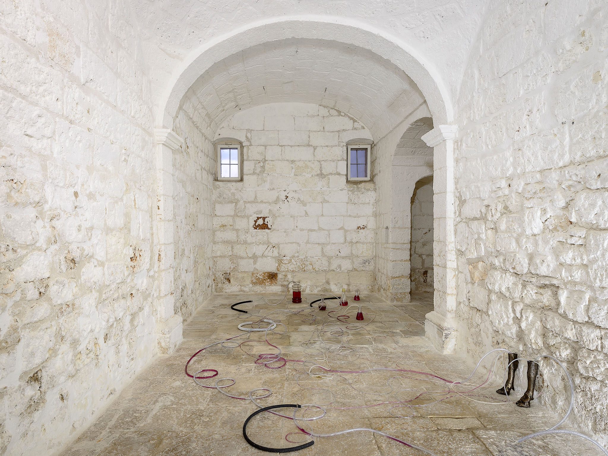 Non è strano che si possa dormire, mentre la luna attraversa il cielo? - Bronze life-size goat legs, tubes made from various materials, various glass containers, water-soluble Haematoxylon brasiletto extract and water. 