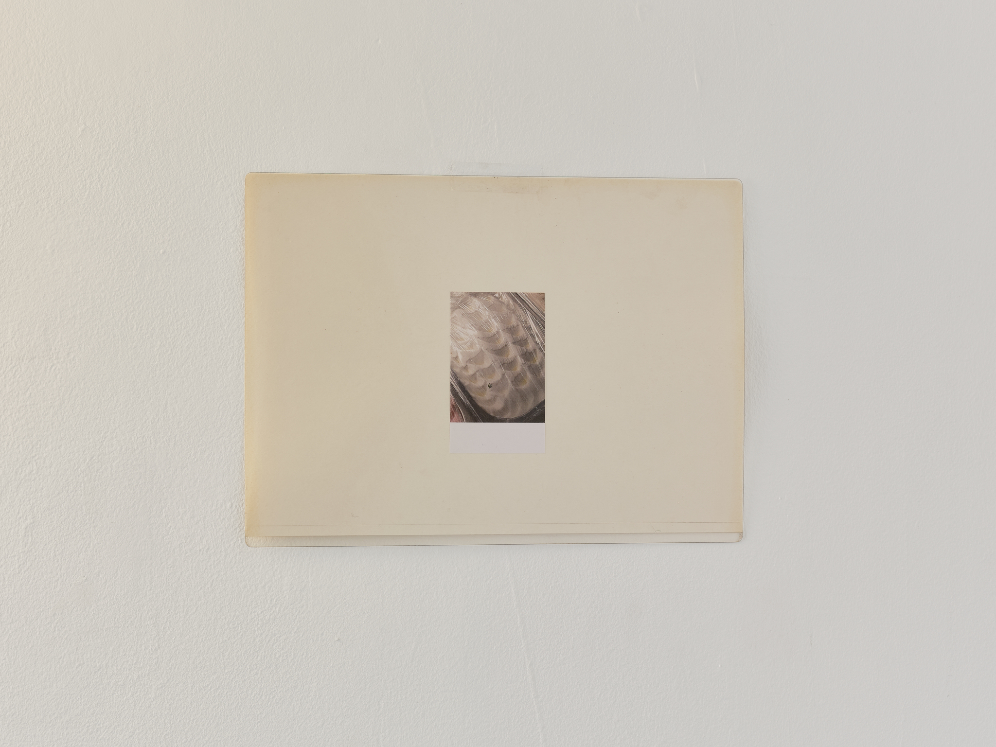 Cake Toppers. Audrey Prédhumeau (détail), Sans titre (crème glacée sous film plastique), 2025.