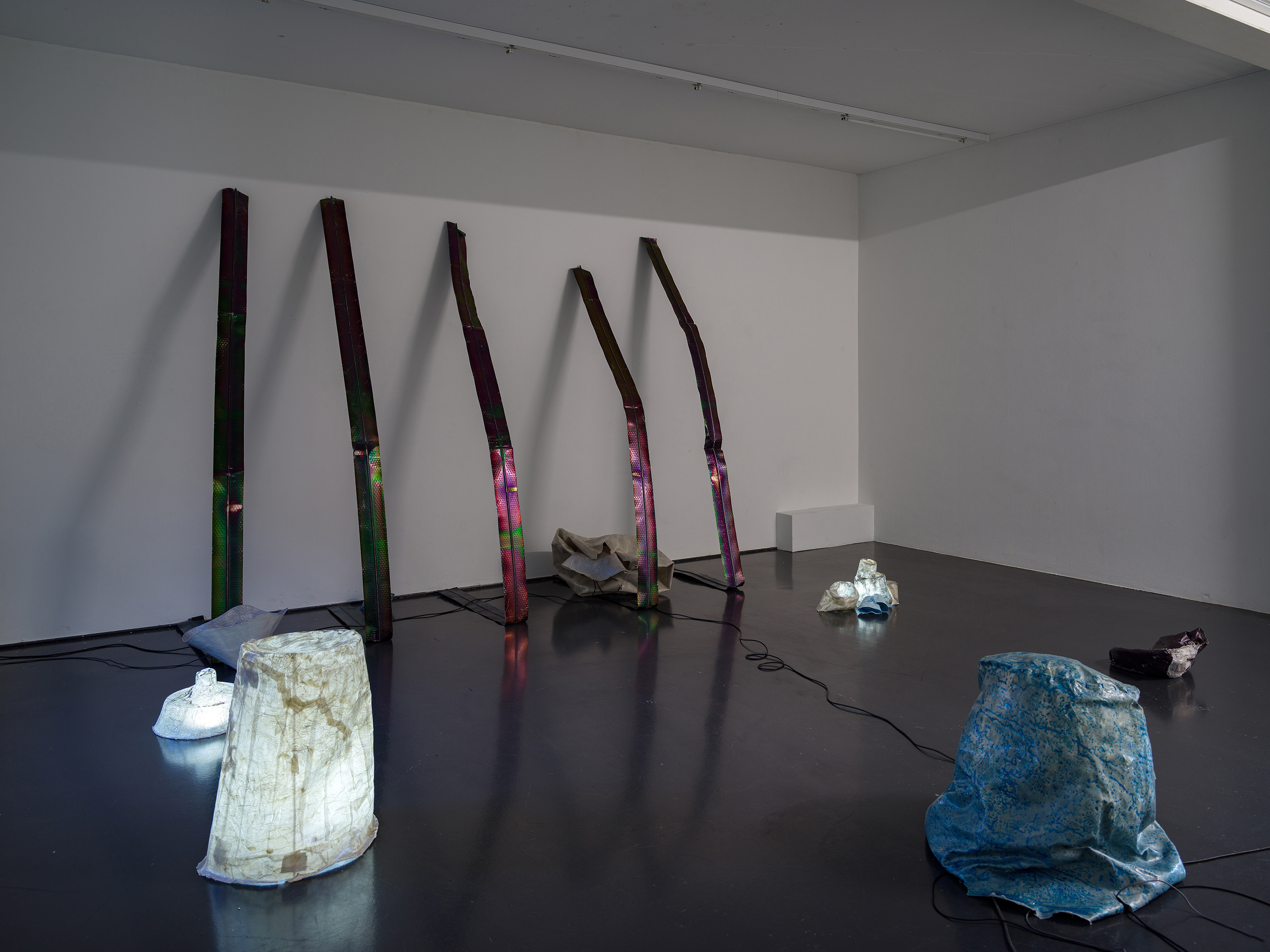 Julia Znoj, Ground, 2025, exhibition view, Kunstraum Aarau