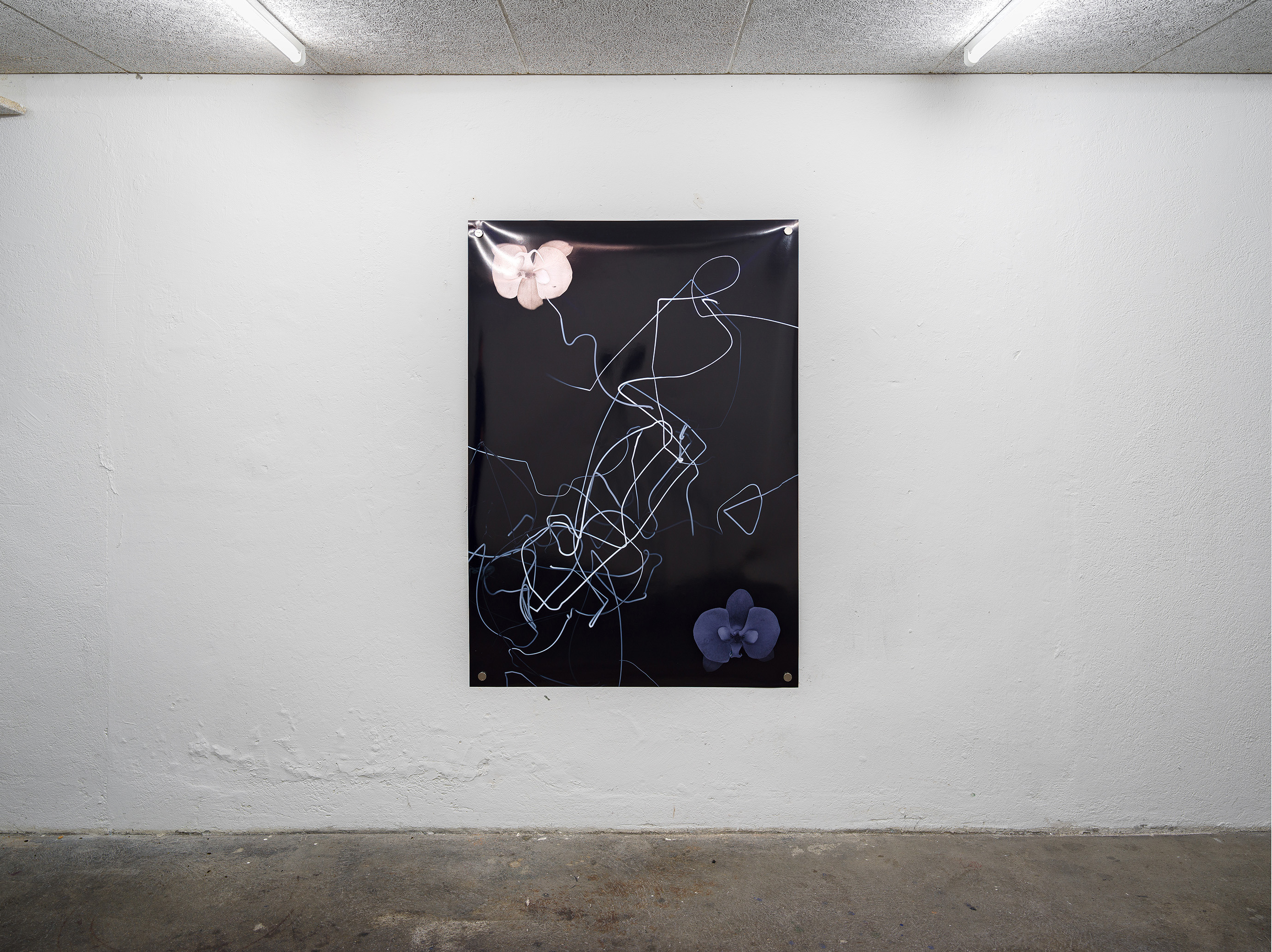 Julija Zaharijević, Modern Painting (A White and a Black Symbolic Cat), 2025, C-Print on paper, 100 x 141 cm