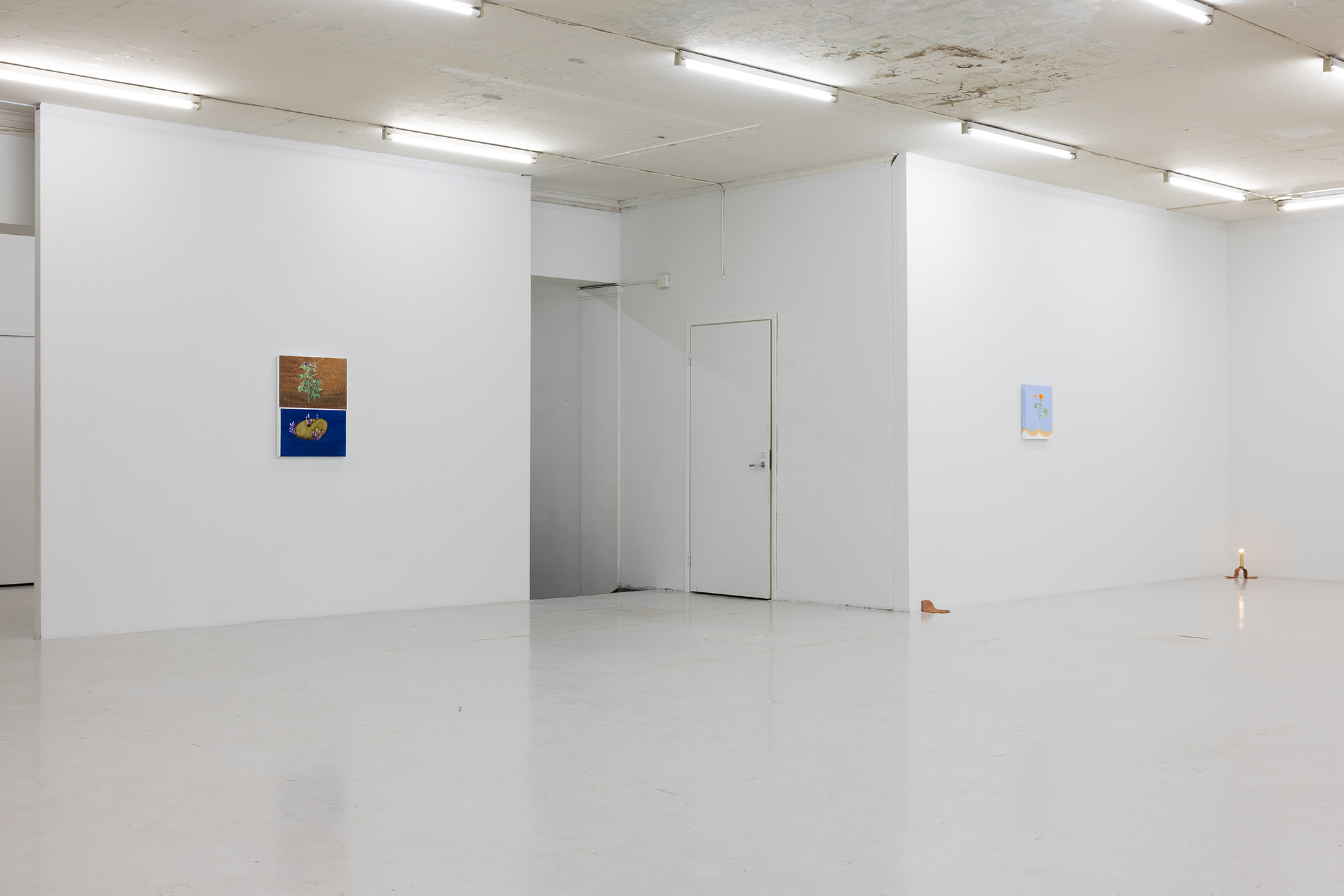 companion, Bogna Luiza Wisniewska, installation view, SIC, Helsinki