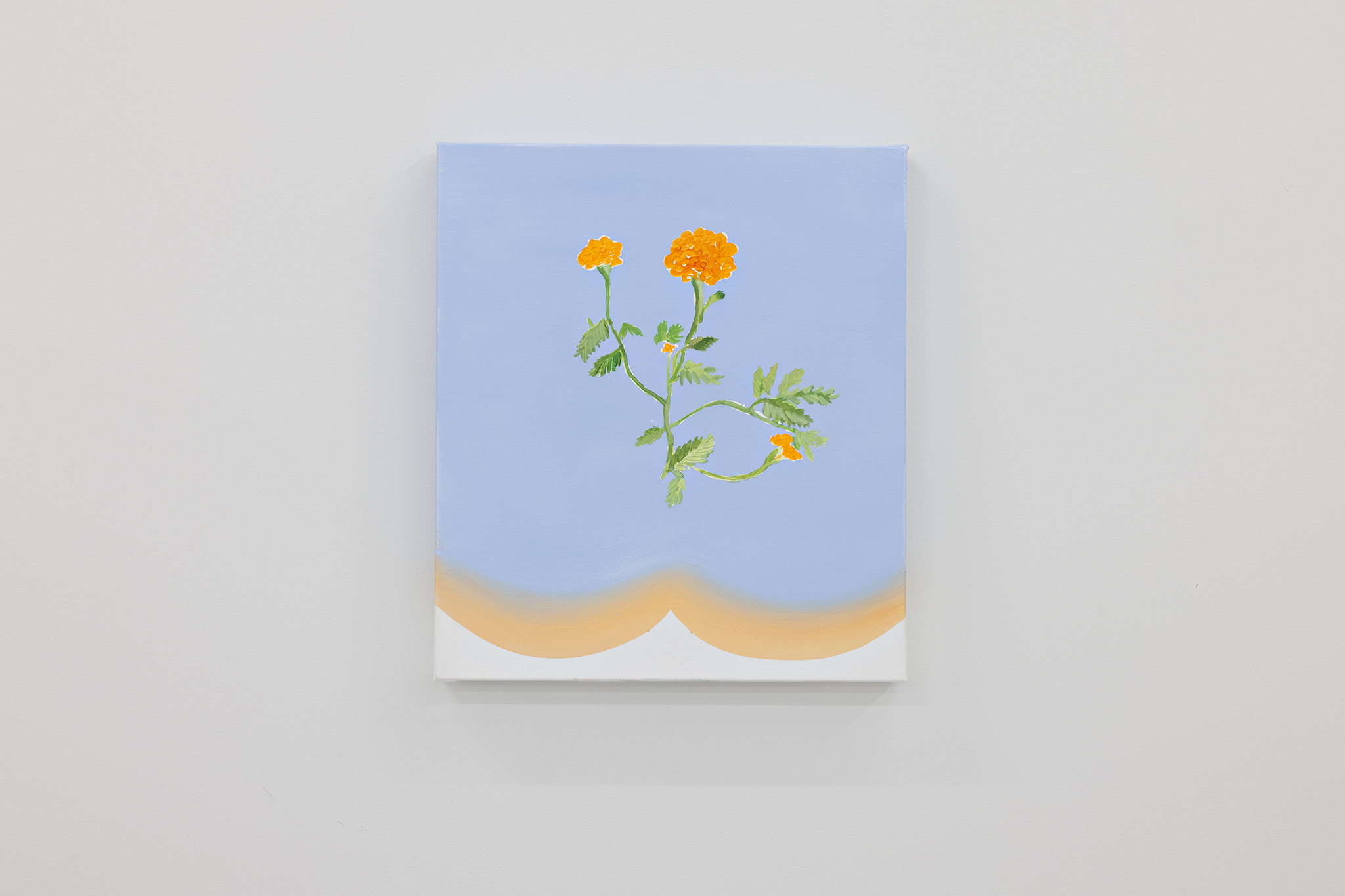 companion, Bogna Luiza Wisniewska, cheeky marigold, 2025, oil on linen, 35x40
