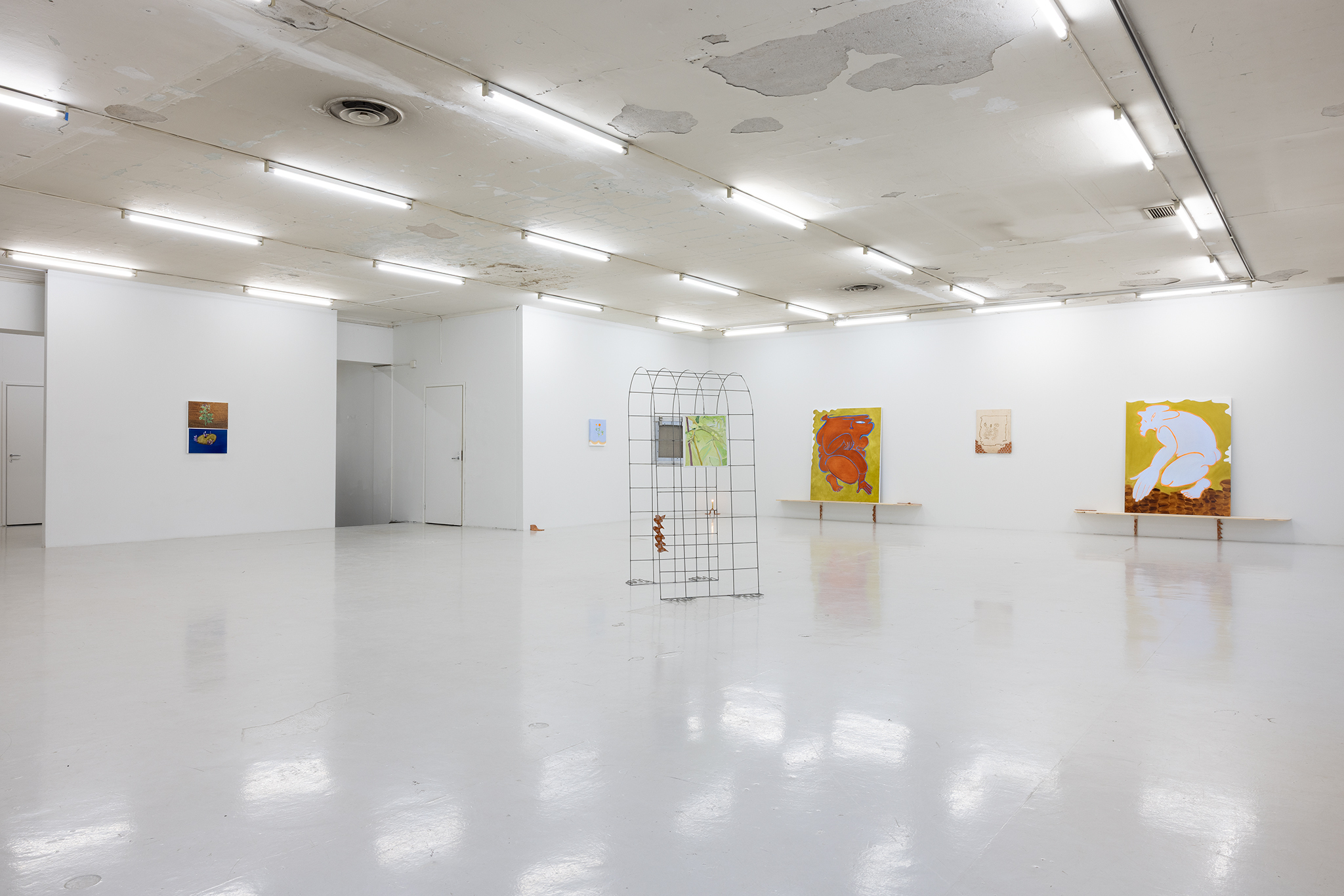 companion, Bogna Luiza Wisniewska, installation view, SIC, Helsinki