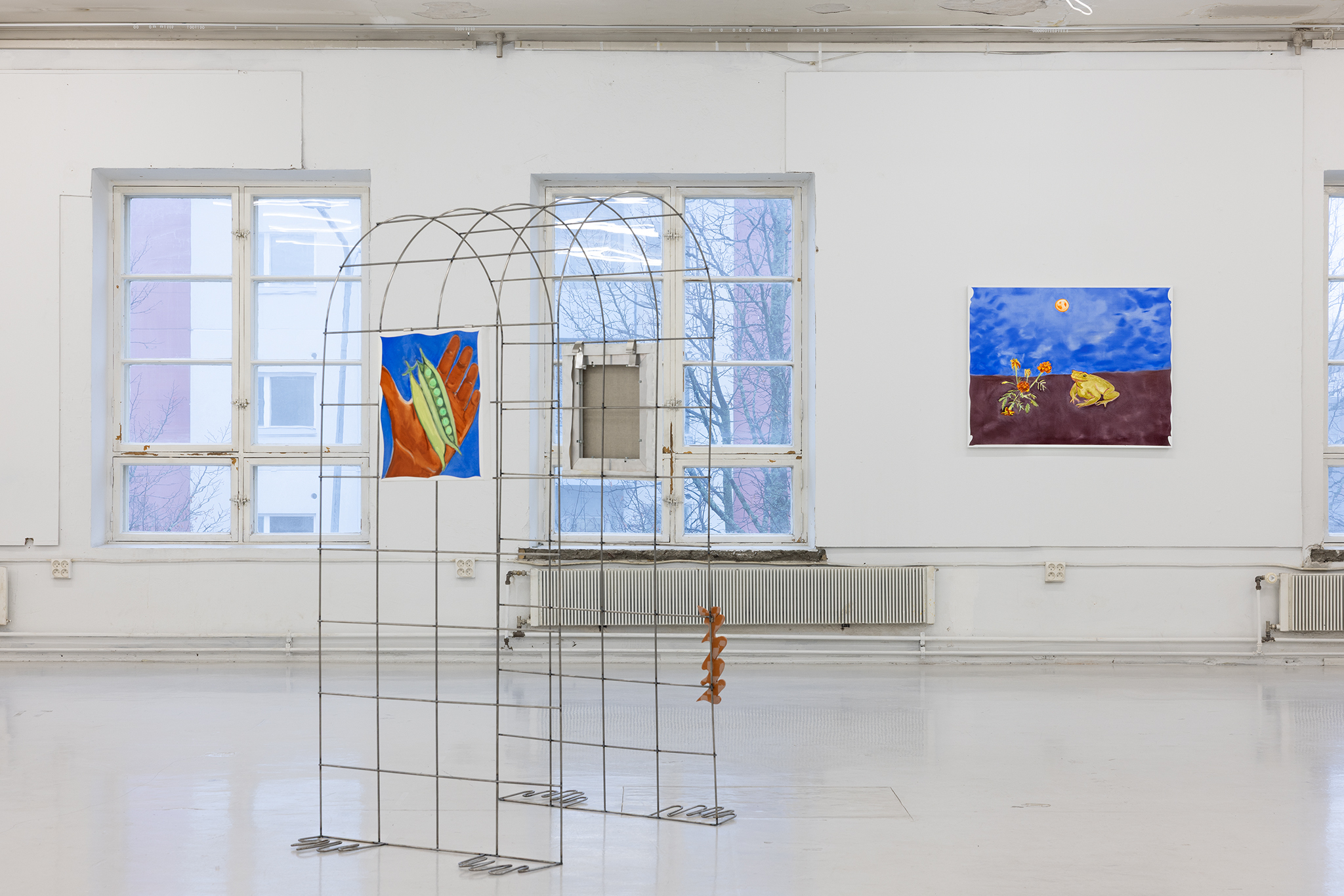 companion, Bogna Luiza Wisniewska, installation view, SIC, Helsinki