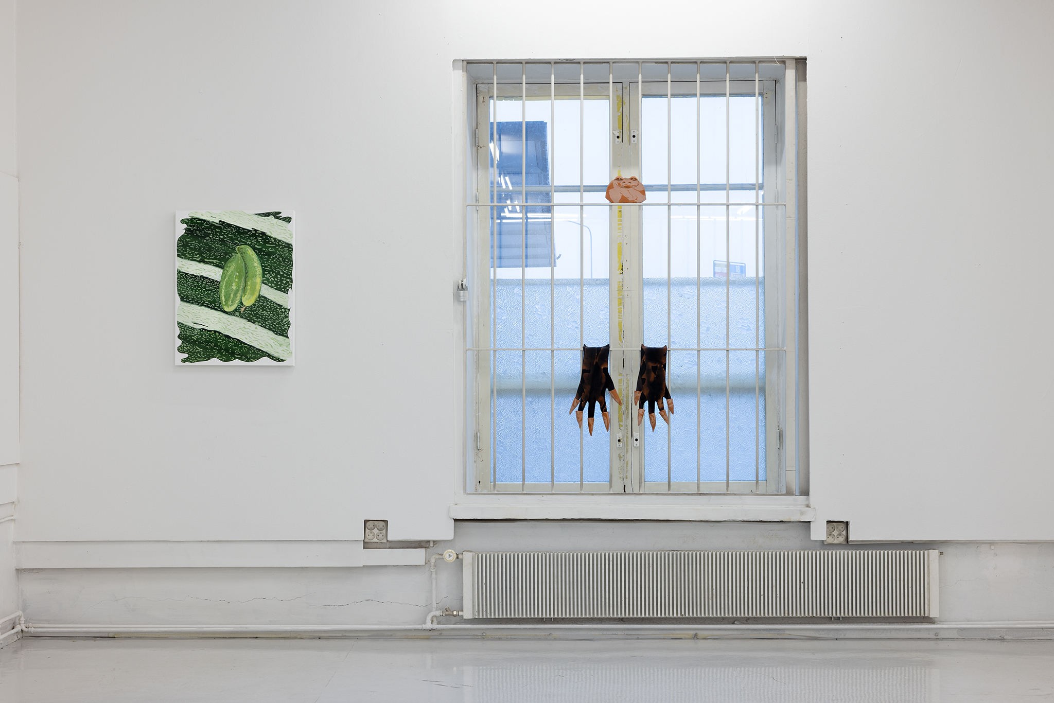 companion, Bogna Luiza Wisniewska, installation view, SIC, Helsinki