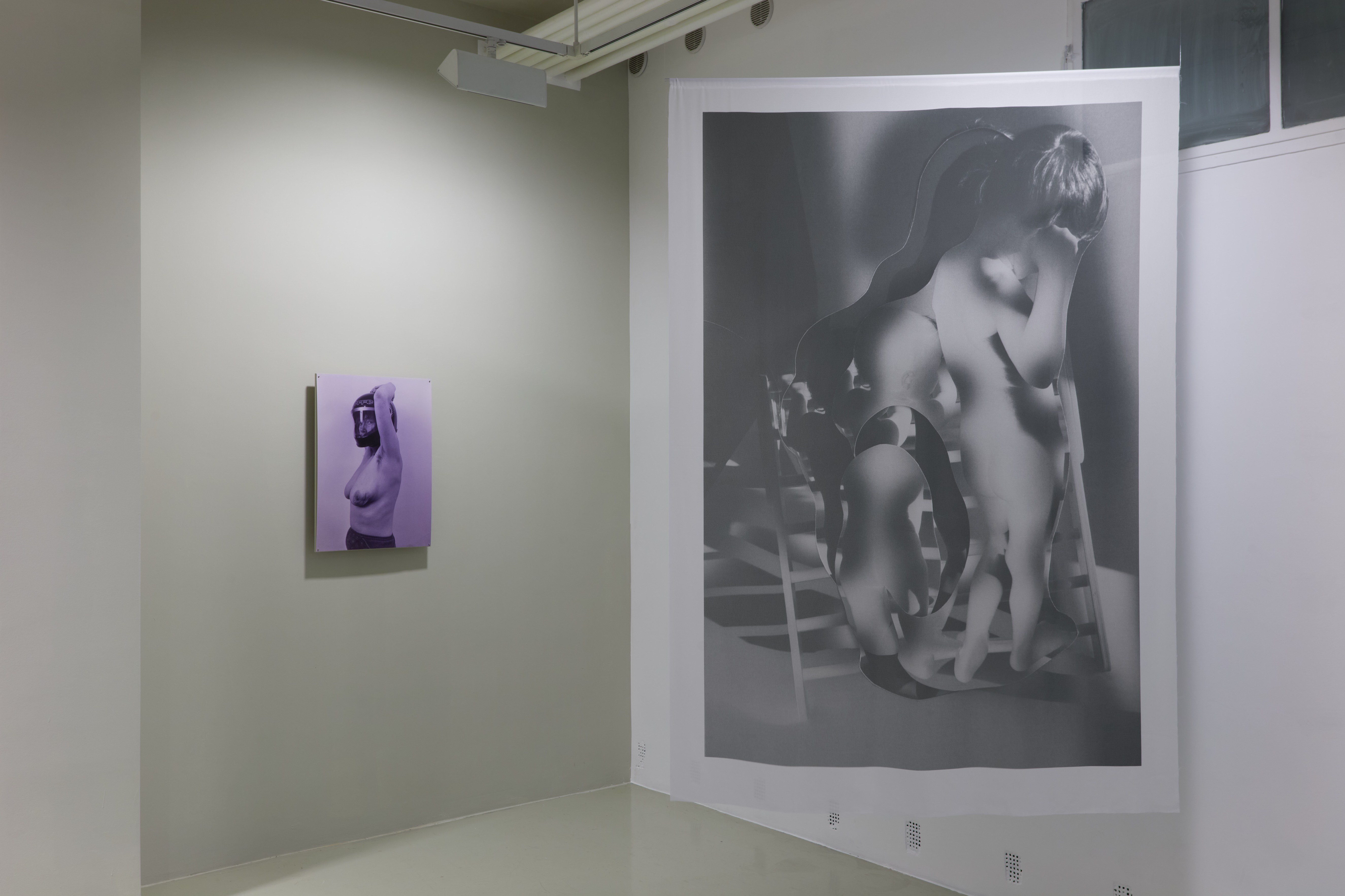 Ink in Milk | exhibition view | Trafó Gallery, 2025 | photo: Dávid Biró