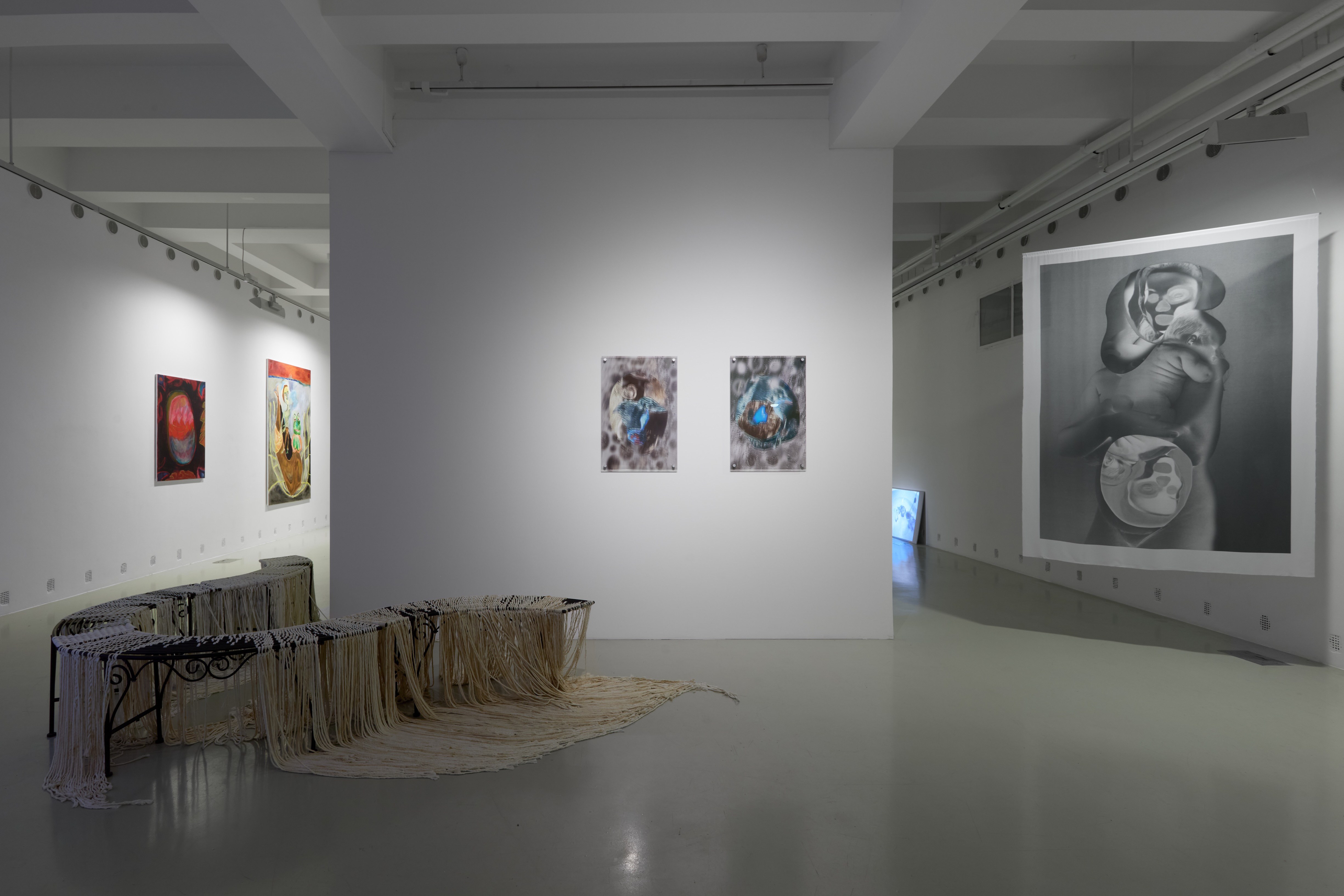 Ink in Milk | exhibition view | Trafó Gallery, 2025 | photo: Dávid Biró