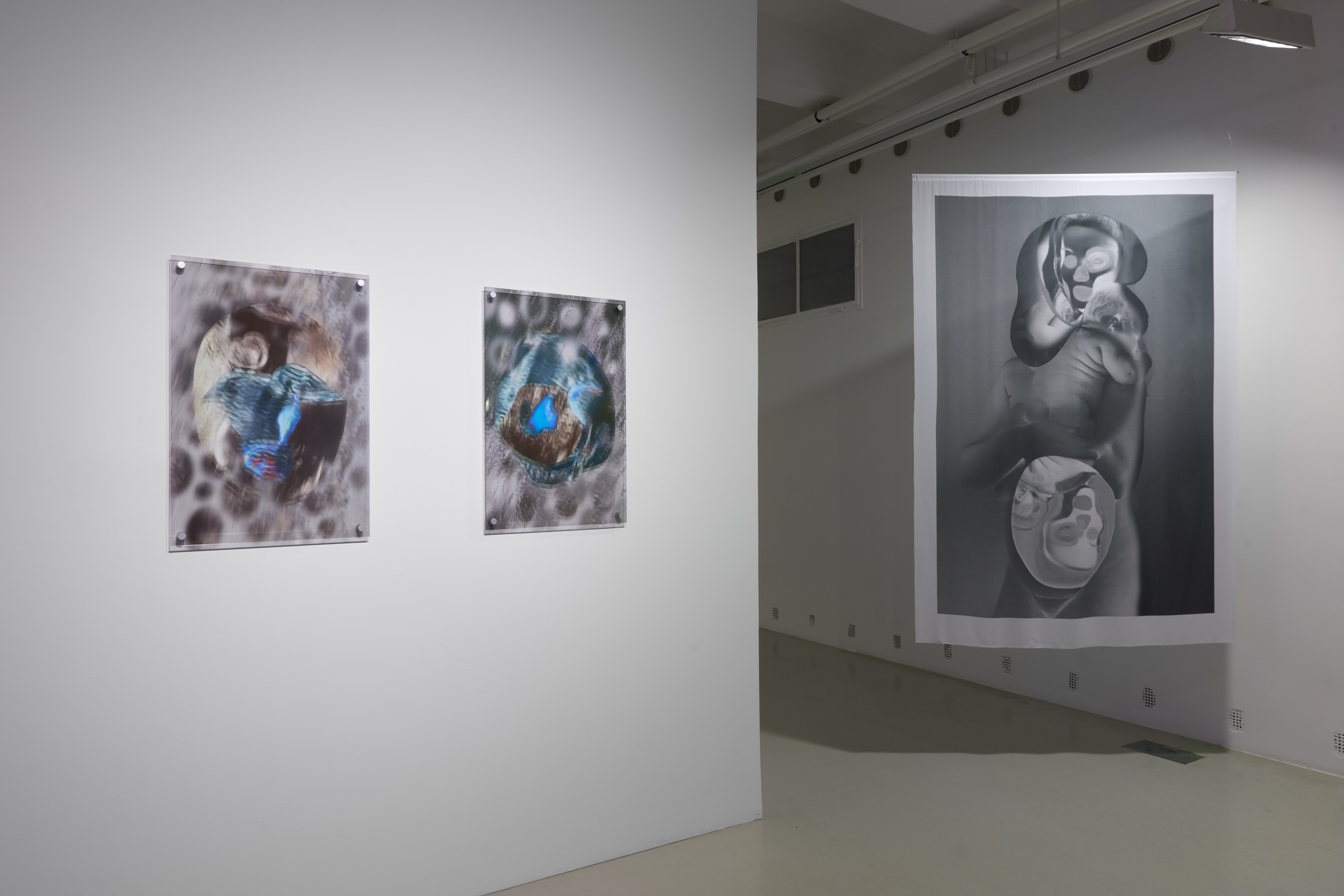 Viola Fátyol: Ultrasound mask 1 and 2. and Nude with Skull. From the series Uncanny Mother, 2023– (prints on plexiglass; textile print) | Trafó Gallery, 2025 | photo: Dávid Biró