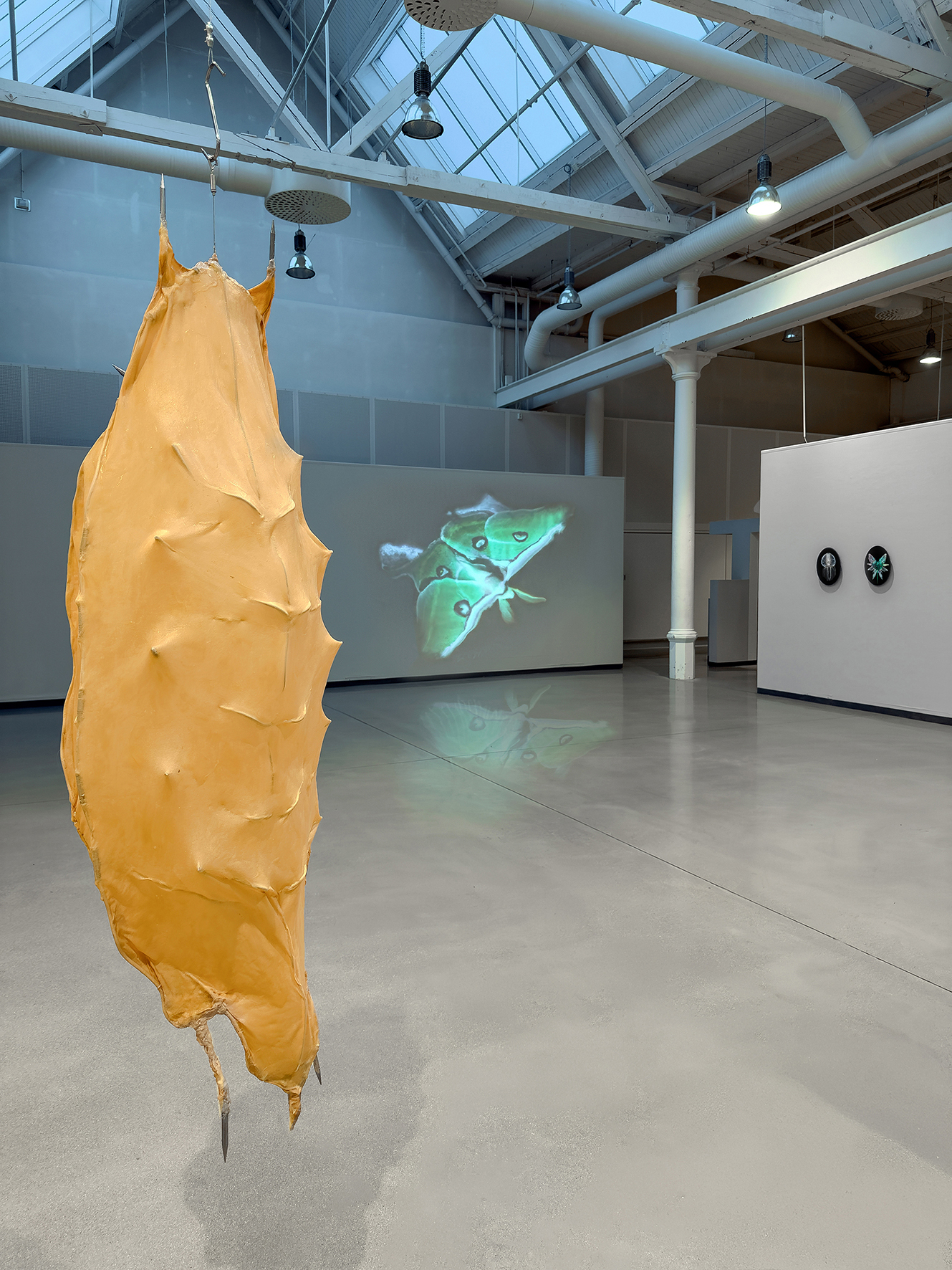 Exhibition view of "Rhizomorphs & Chimaeras", Susanne Fagerlund at Konsthallen Trollhättan, 2025-2026.