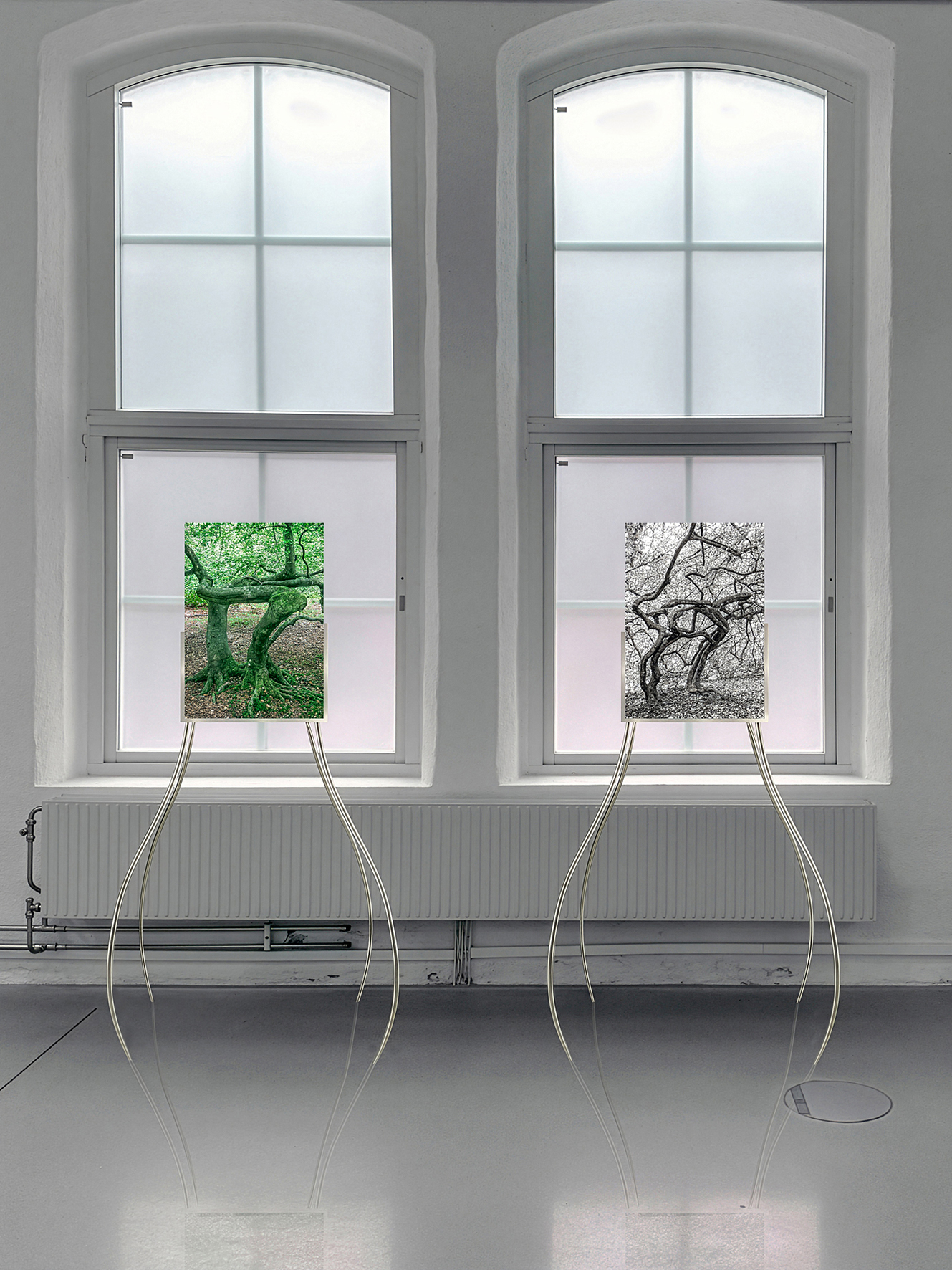 Exhibition view of "Rhizomorphs & Chimaeras", Susanne Fagerlund at Konsthallen Trollhättan, 2025-2026.