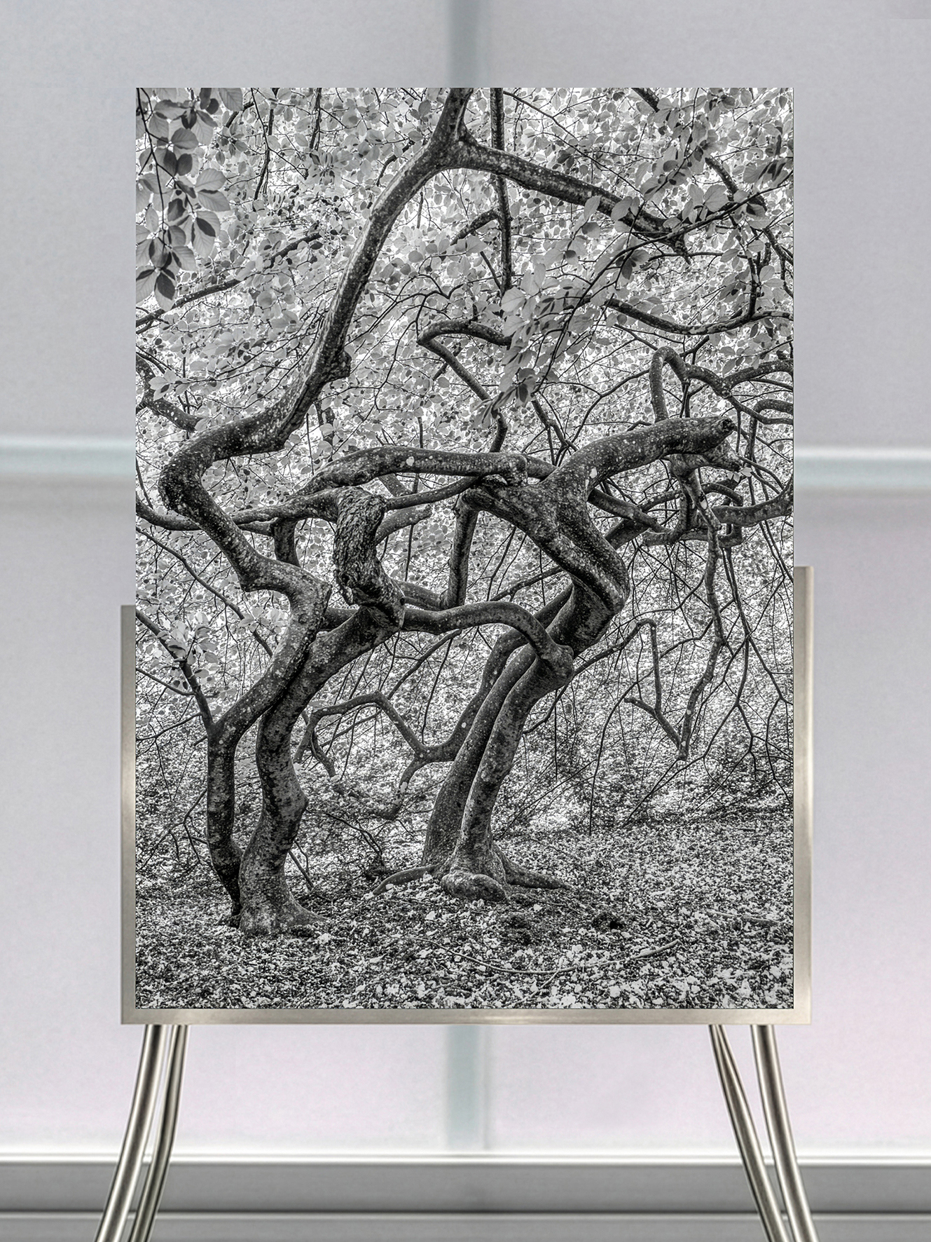 Susanne Fagerlund, "Twisted #2", 2025. UV-print on Plexiglas and aluminium stand.  