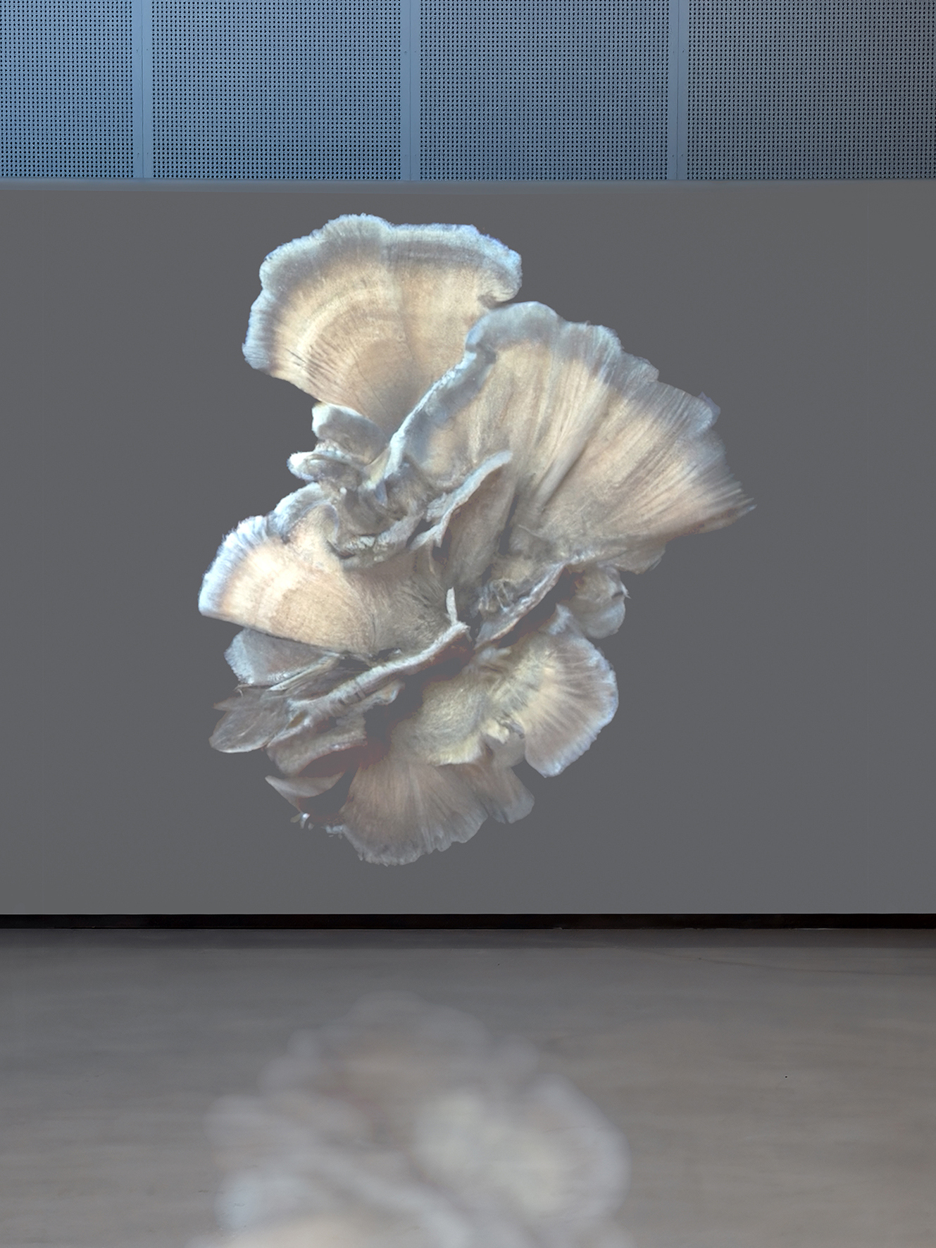 Susanne Fagerlund, "Compost of past, present & future", 2025 ed. Video and sound installation.