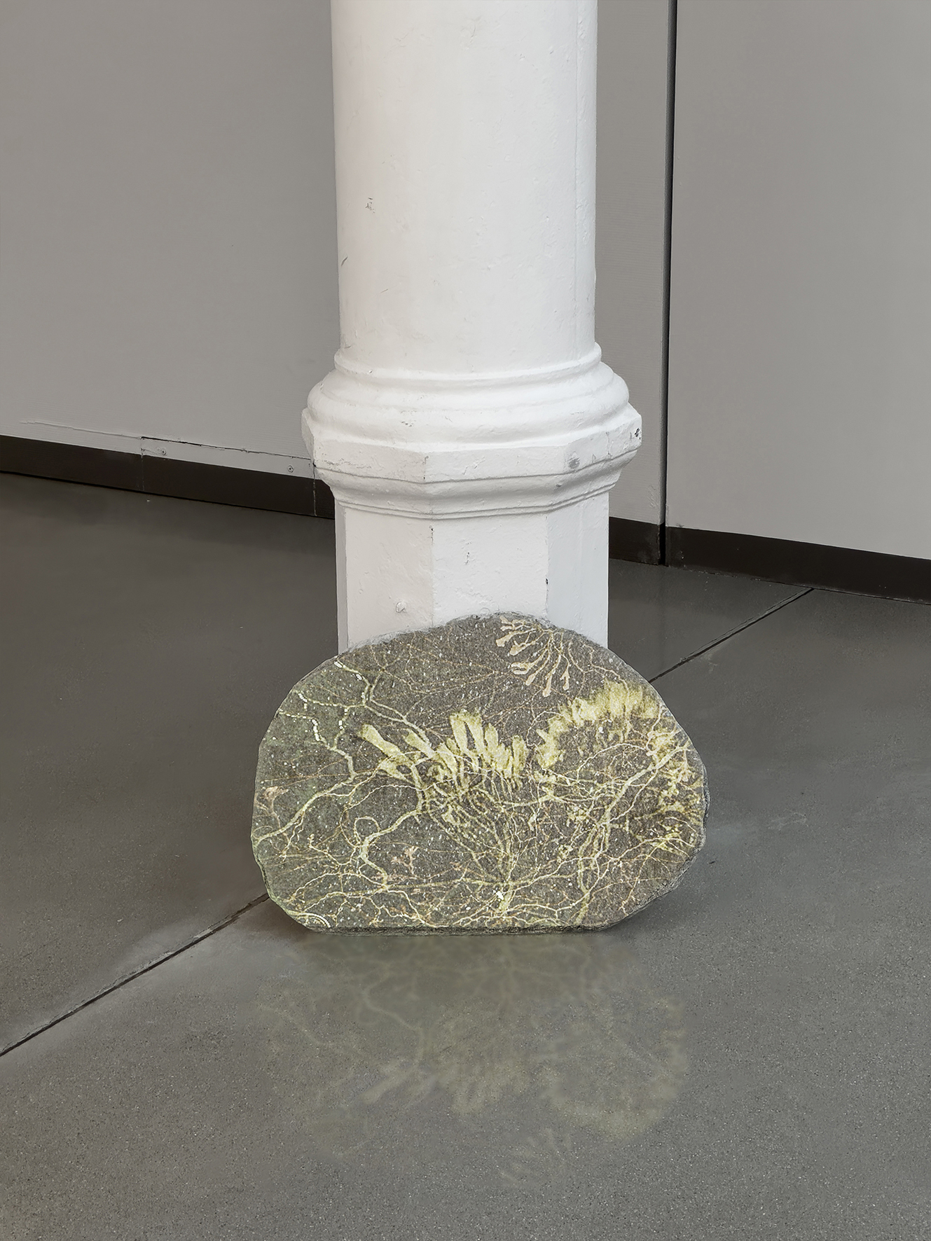 Susanne Fagerlund, "Fruiting bodies", 2025. Video projection on a glimmer schist stone.