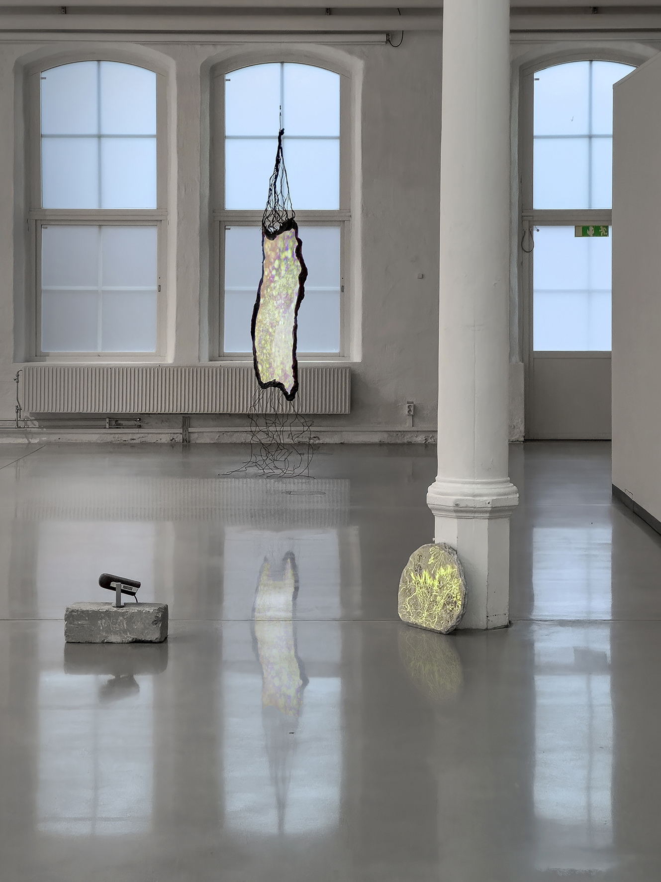 Exhibition view of "Rhizomorphs & Chimaeras", Susanne Fagerlund at Konsthallen Trollhättan, 2025-2026.