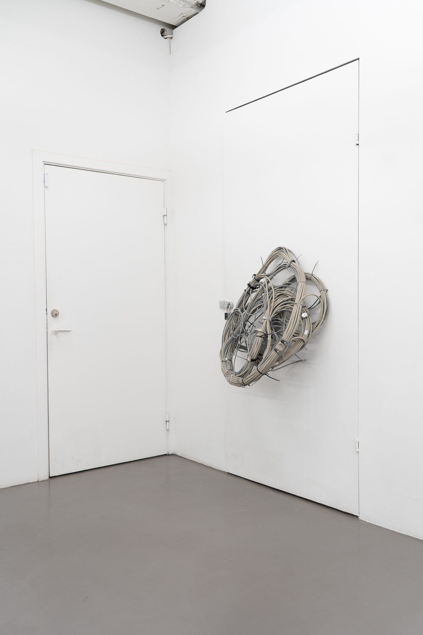 Rodrigo Red Sandoval - Nest (2025); Data cables (J-Y(St)Y), wrist watches, tie wraps, worm drive clamps (70x90x50), courtesy of the artist and Platform