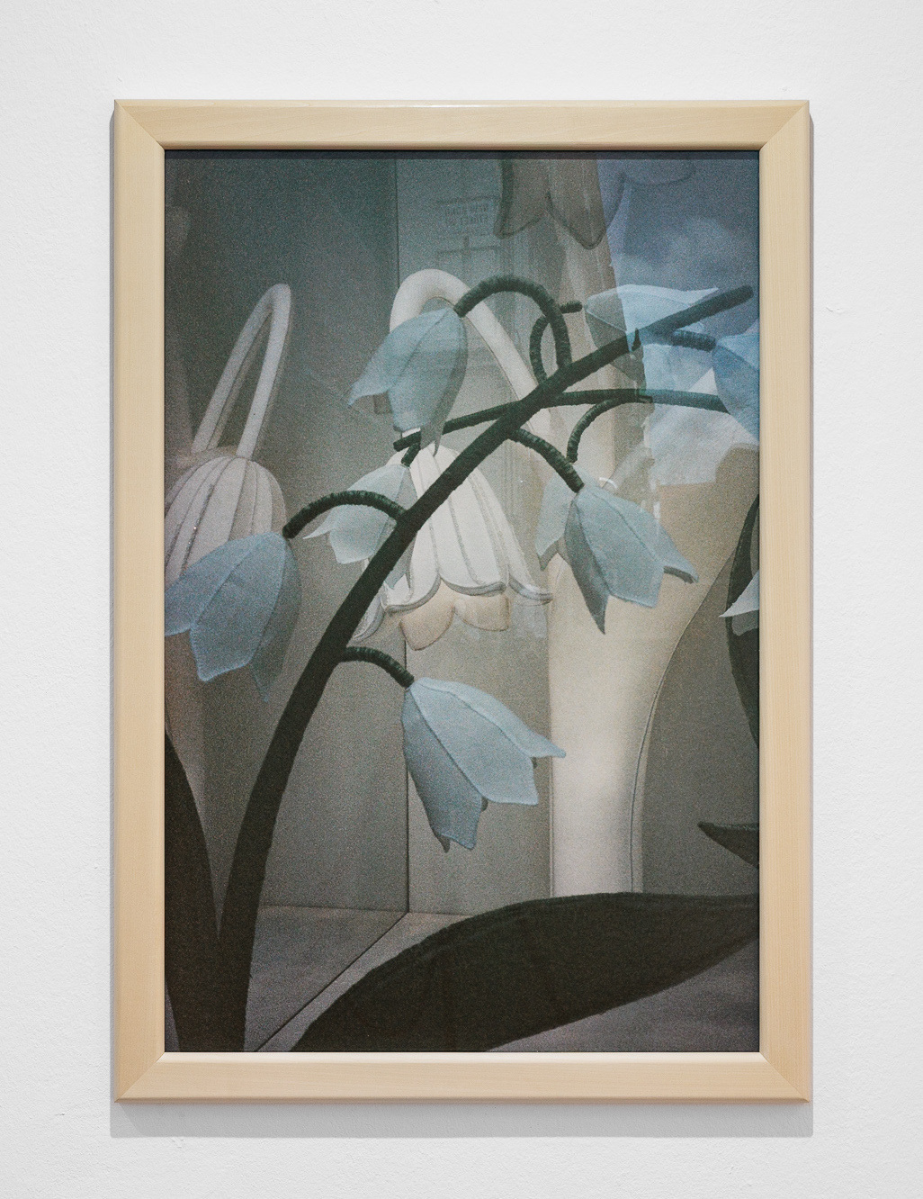 Rosa Rendl, Märzenbecher II, 2025 Archival Pigment Print on Baryta Paper 60 x 90 cm, 68 x 98 cm framed