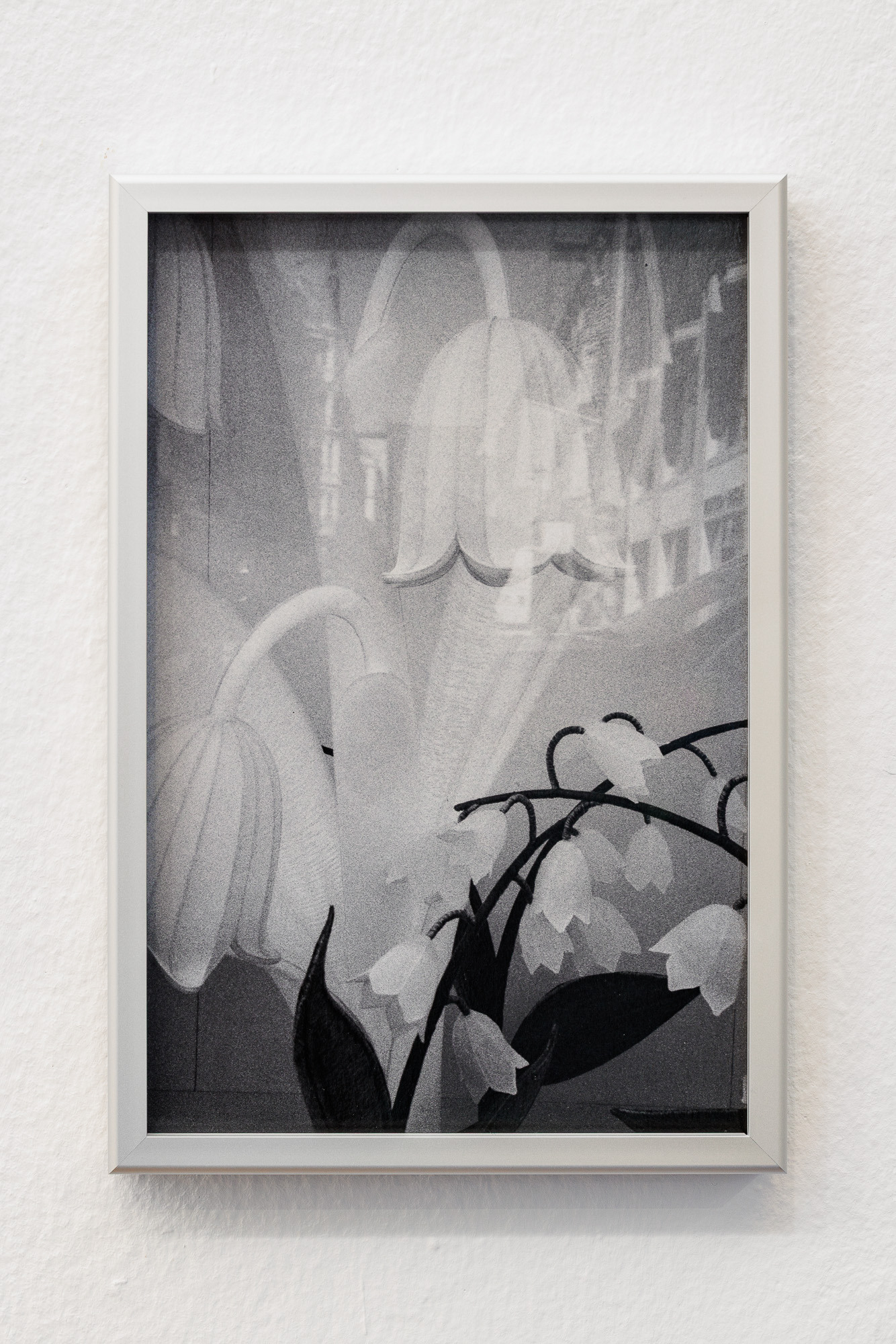 Rosa Rendl, Märzenbecher I, 2025 Archival Pigment Print on Baryta Paper 20 x 30 cm, 21 x 31 cm, framed