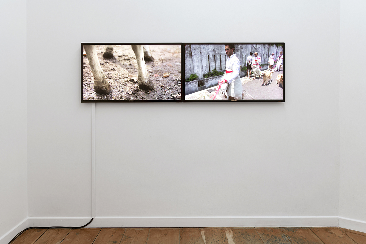 Mella Jaarsma_Dogwalk_installation view_BEIGE
