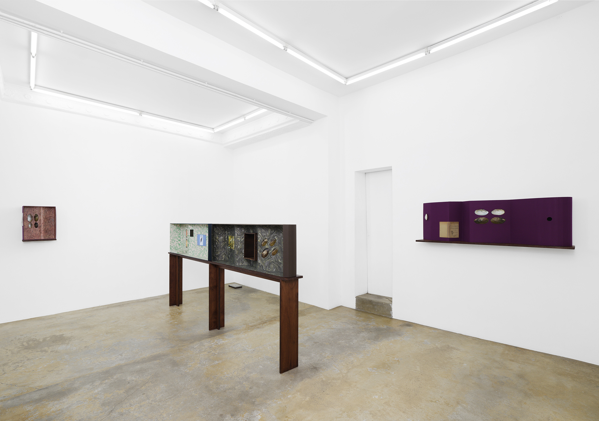 Caroline Reveillaud, Biomimetico-imago, 2025, exhition view, Florence Loewy, Paris