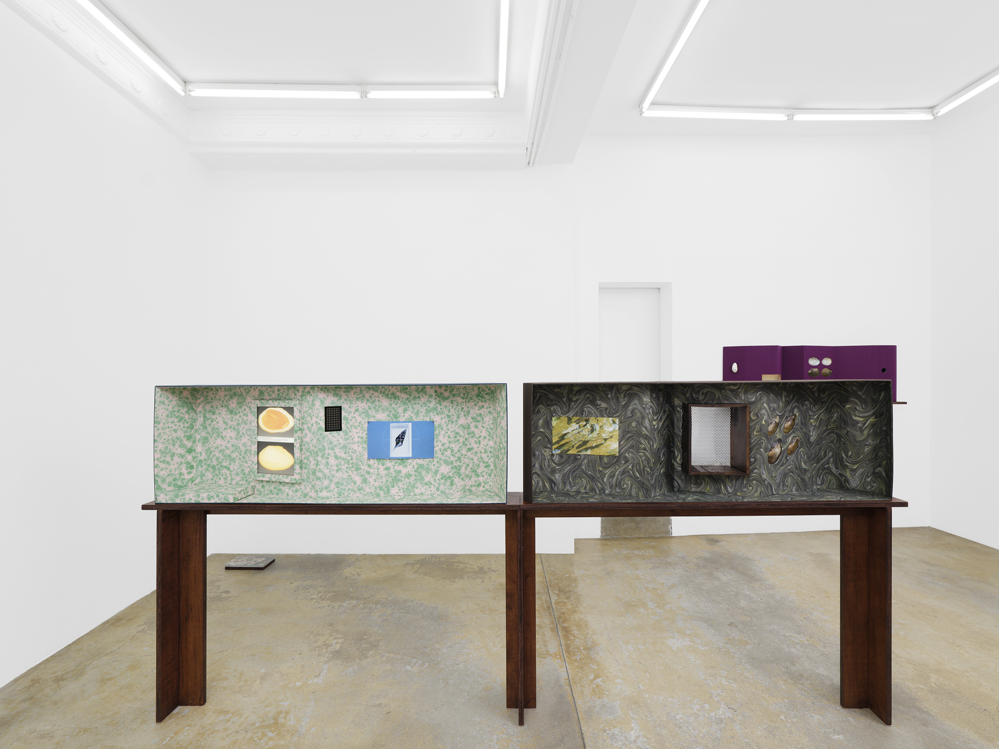 Caroline Reveillaud, Biomimetico-imago, 2025, exhition view, Florence Loewy, Paris