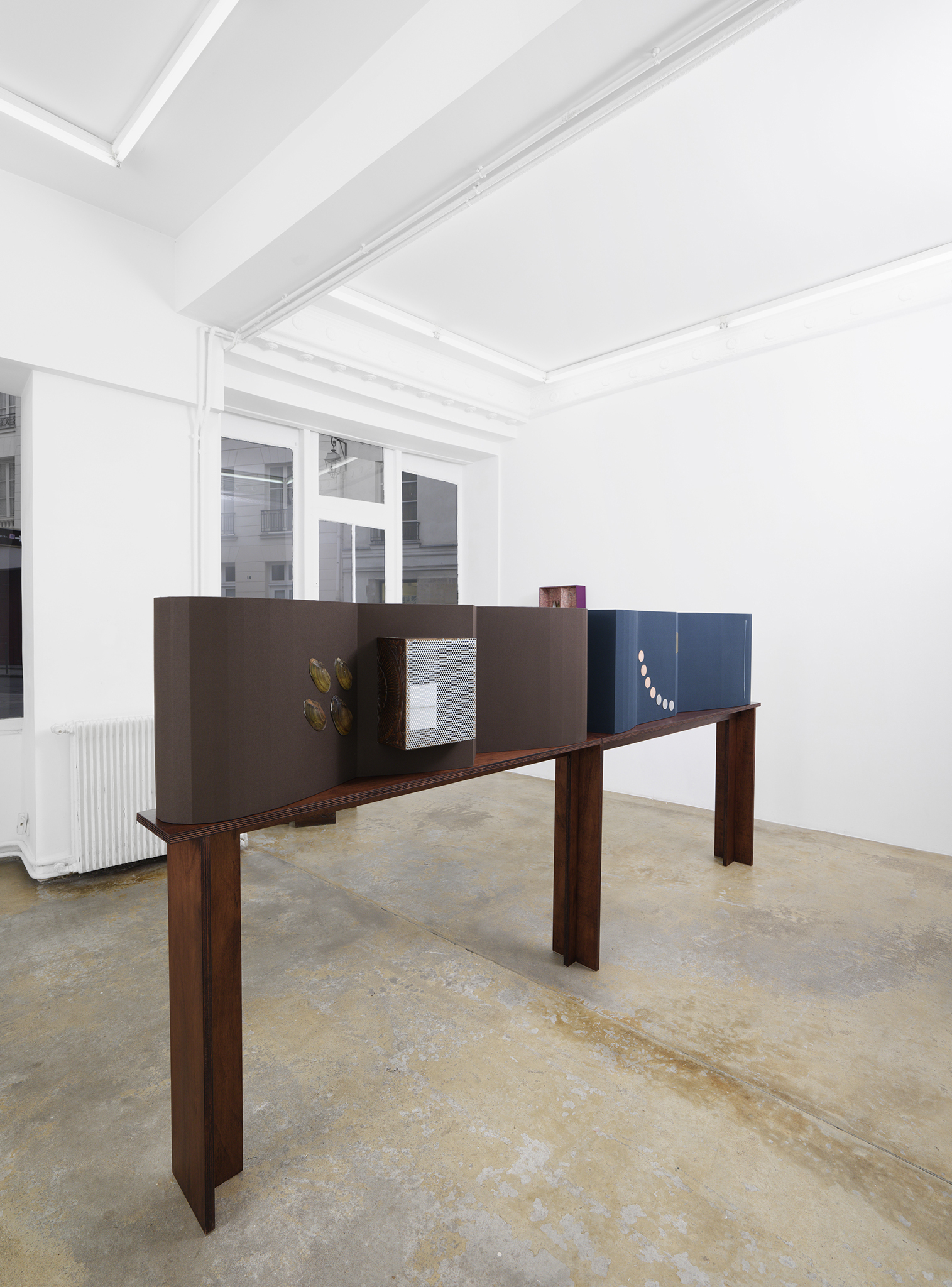 Caroline Reveillaud, Biomimetico-imago, 2025, exhition view, Florence Loewy, Paris