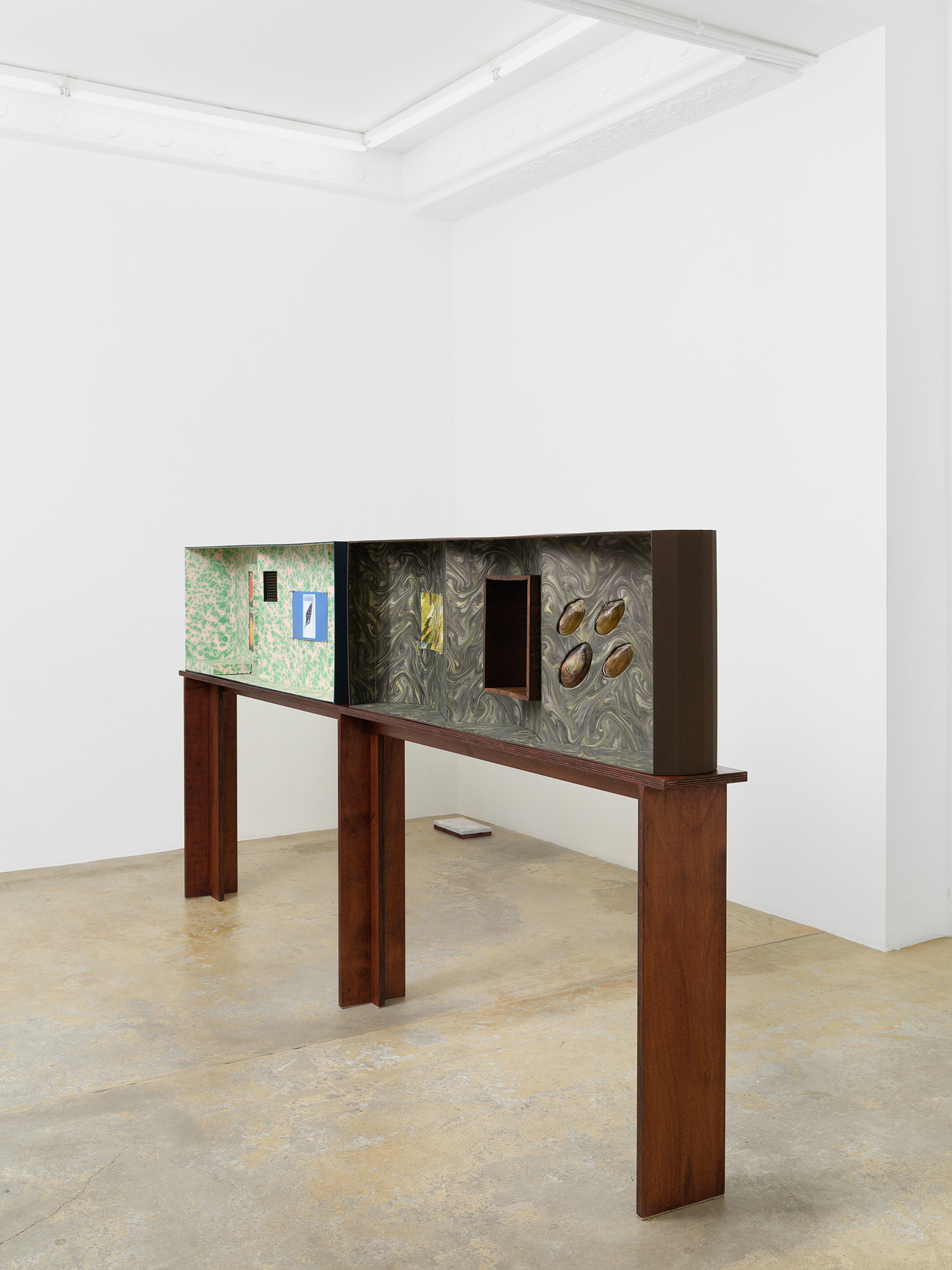 Caroline Reveillaud, Biomimetico-imago, 2025, exhition view, Florence Loewy, Paris