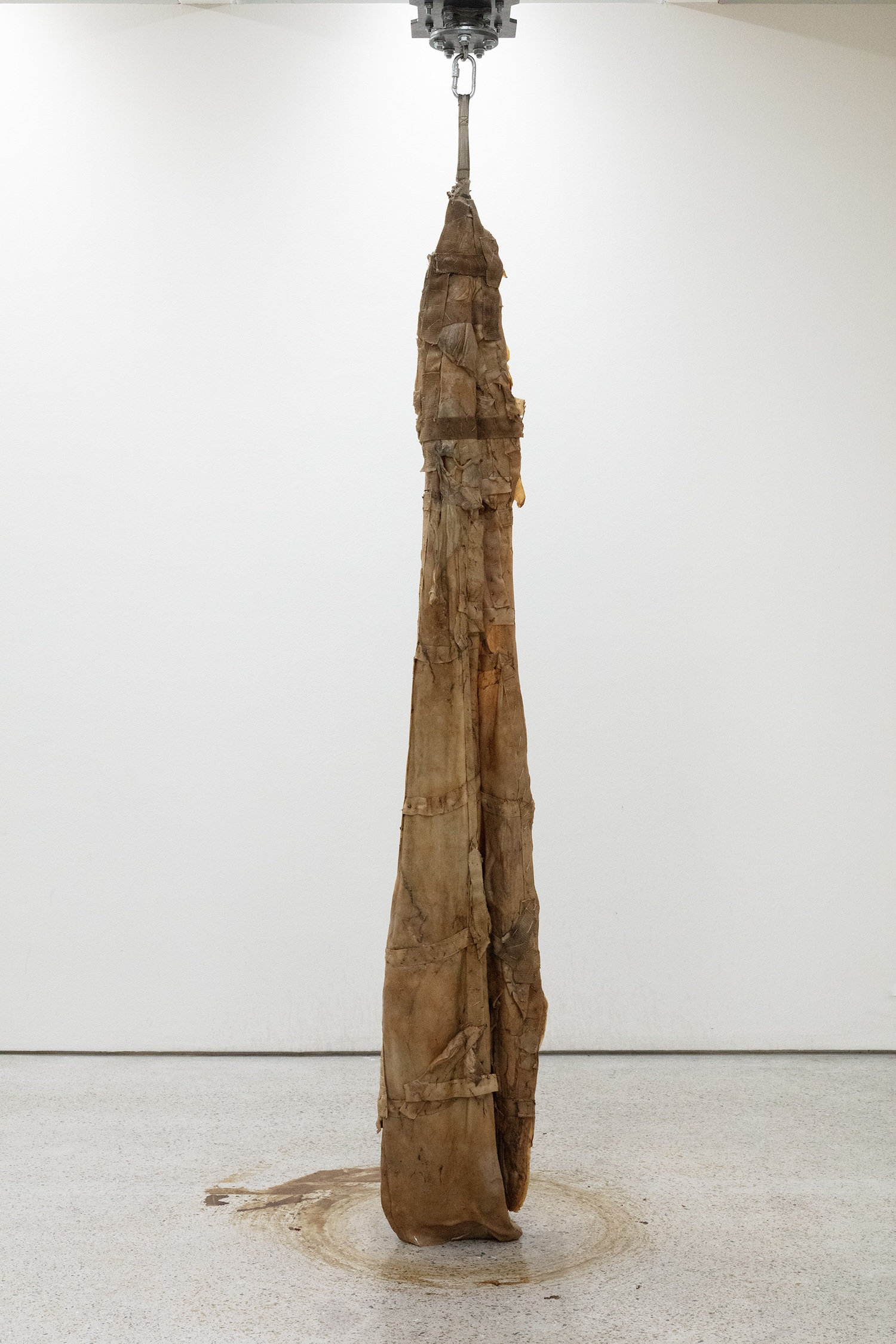 Bianca Hlywa, Mute Track, 2025–26. SCOBY (Symbiotic Cultures of Bacterial Yeast), cotton fabric, electric engine, metal mounting. Photo: Jussi Tiainen