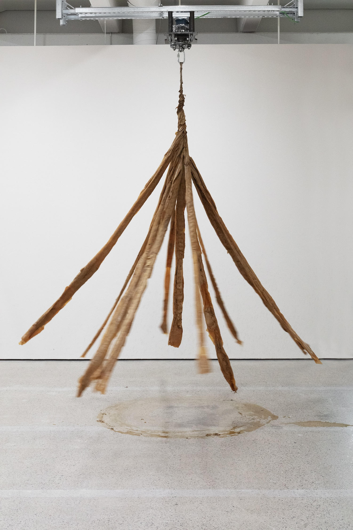 Bianca Hlywa, Mute Track, 2025–26. SCOBY (Symbiotic Cultures of Bacterial Yeast), cotton fabric, electric engine, metal mounting. Photo: Jussi Tiainen