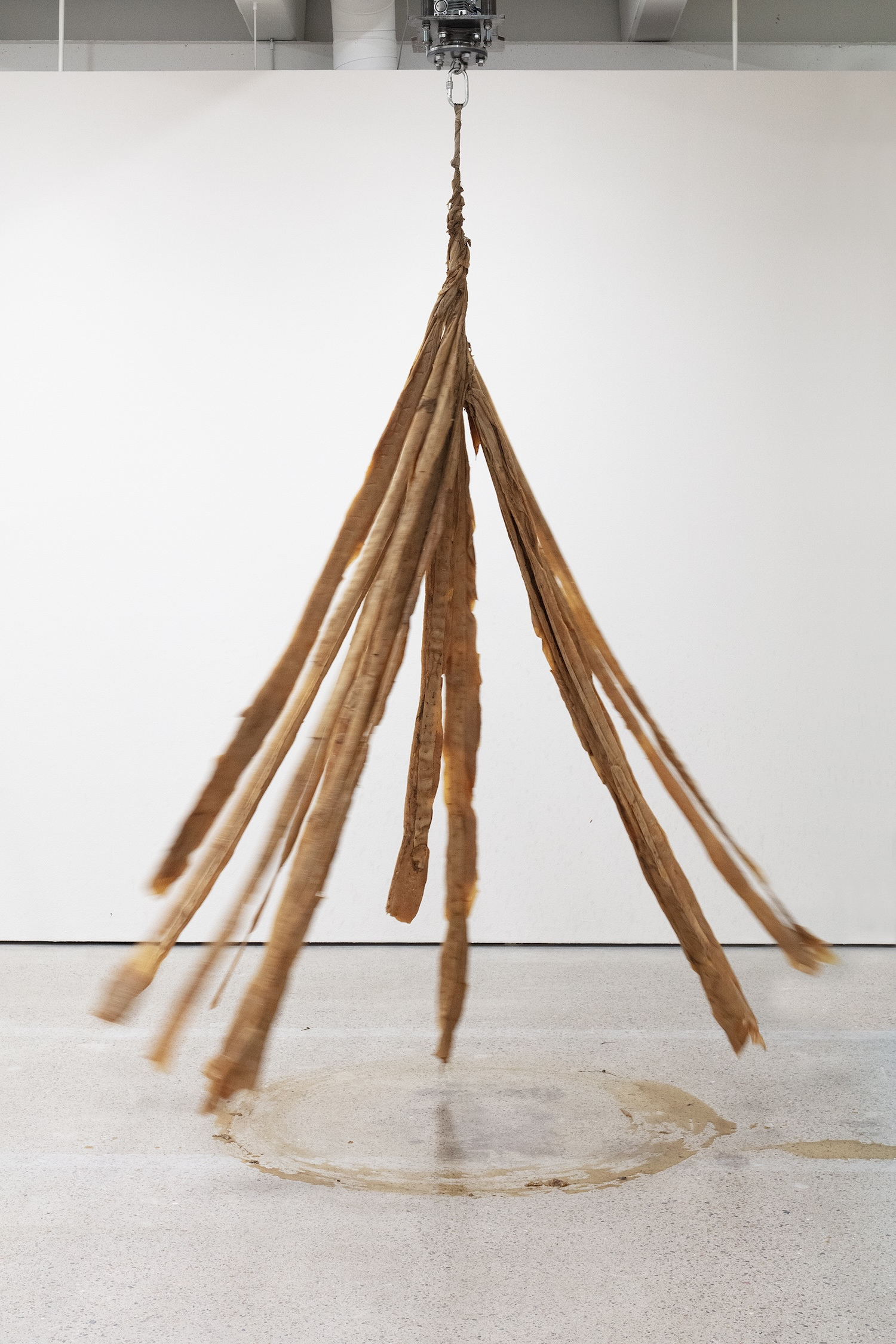 Bianca Hlywa, Mute Track, 2025–26. SCOBY (Symbiotic Cultures of Bacterial Yeast), cotton fabric, electric engine, metal mounting. Photo: Jussi Tiainen