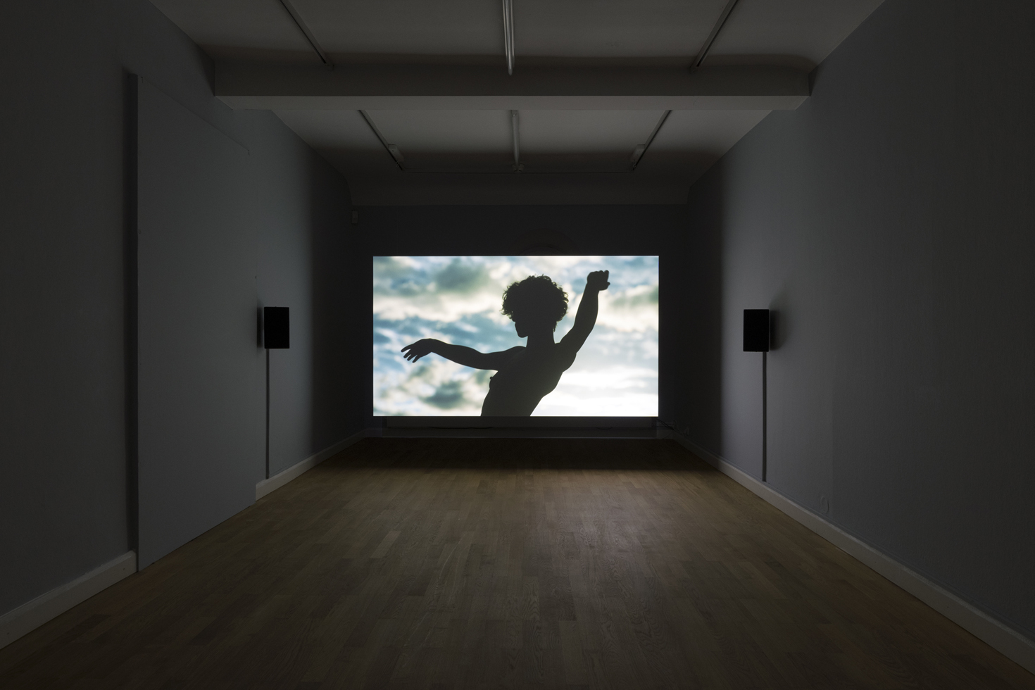 Exhibition view: Wu Tsang, Rebellious Bird (study), 2023, Video, sound, 5:25 min.