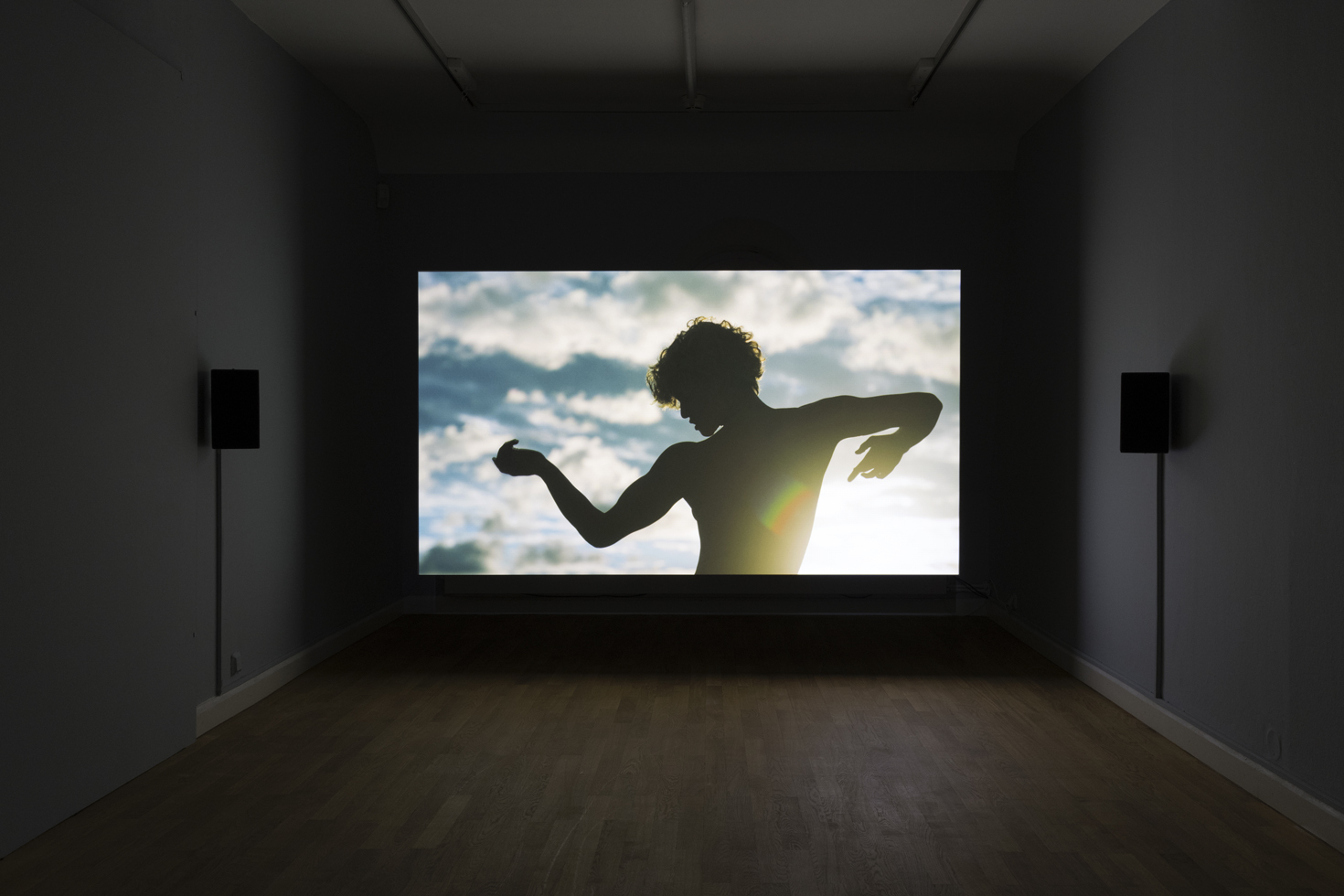 Exhibition view: Wu Tsang, Rebellious Bird (study), 2023, Video, sound, 5:25 min.