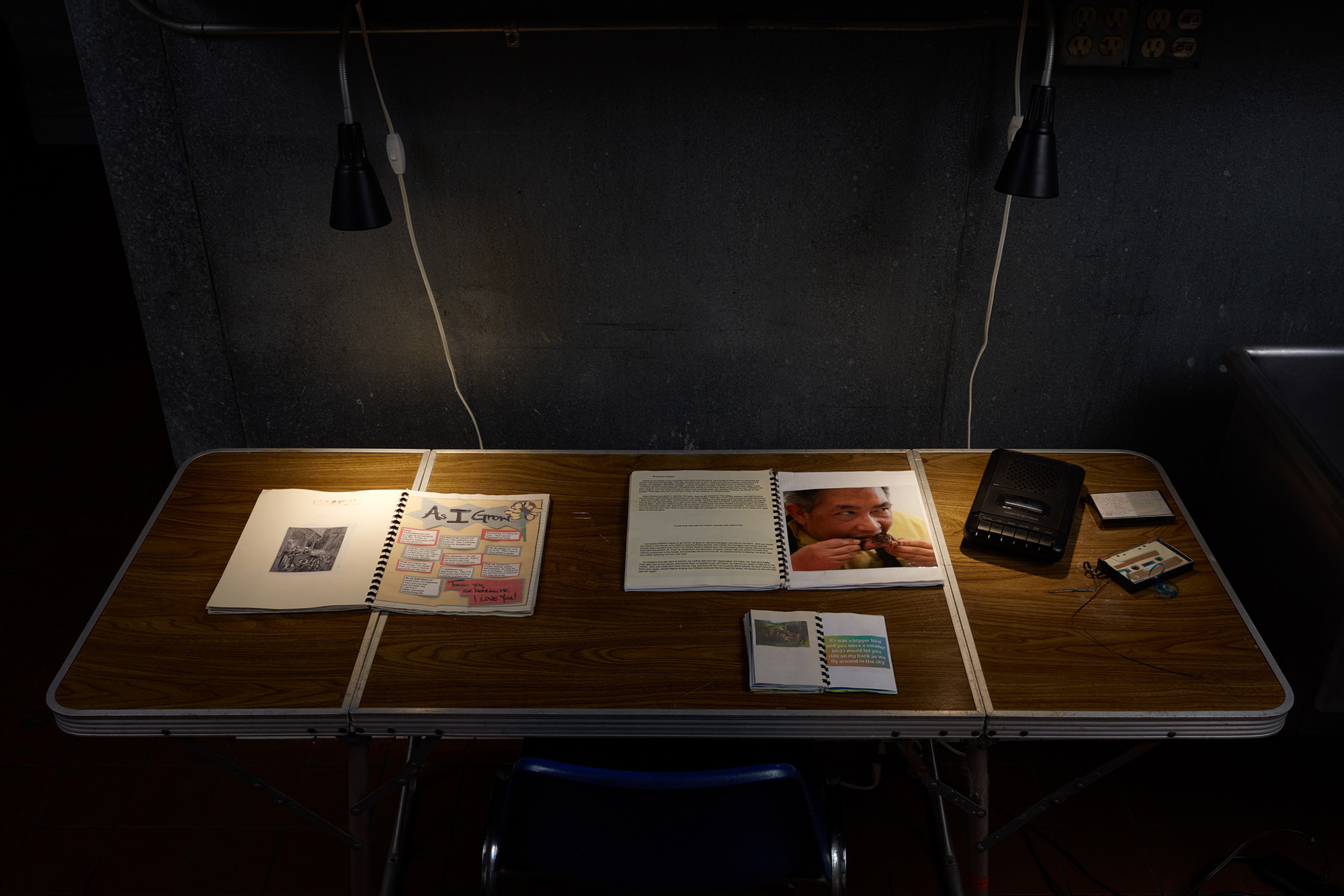 Joseph Klahr - Public life Subscriptions - Installation View - Leroy's 