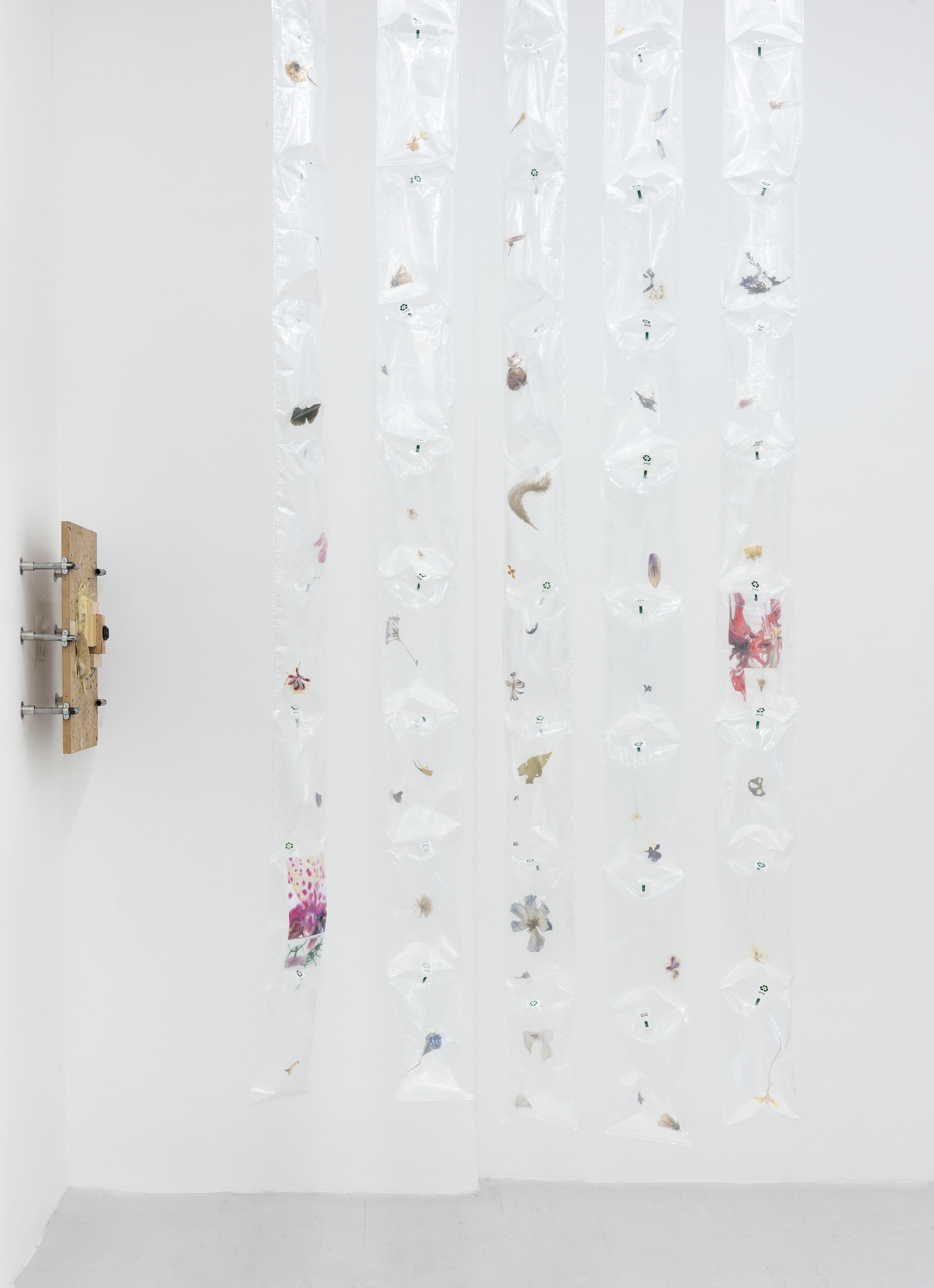 Adriana Jaroslavsky - Amulætos