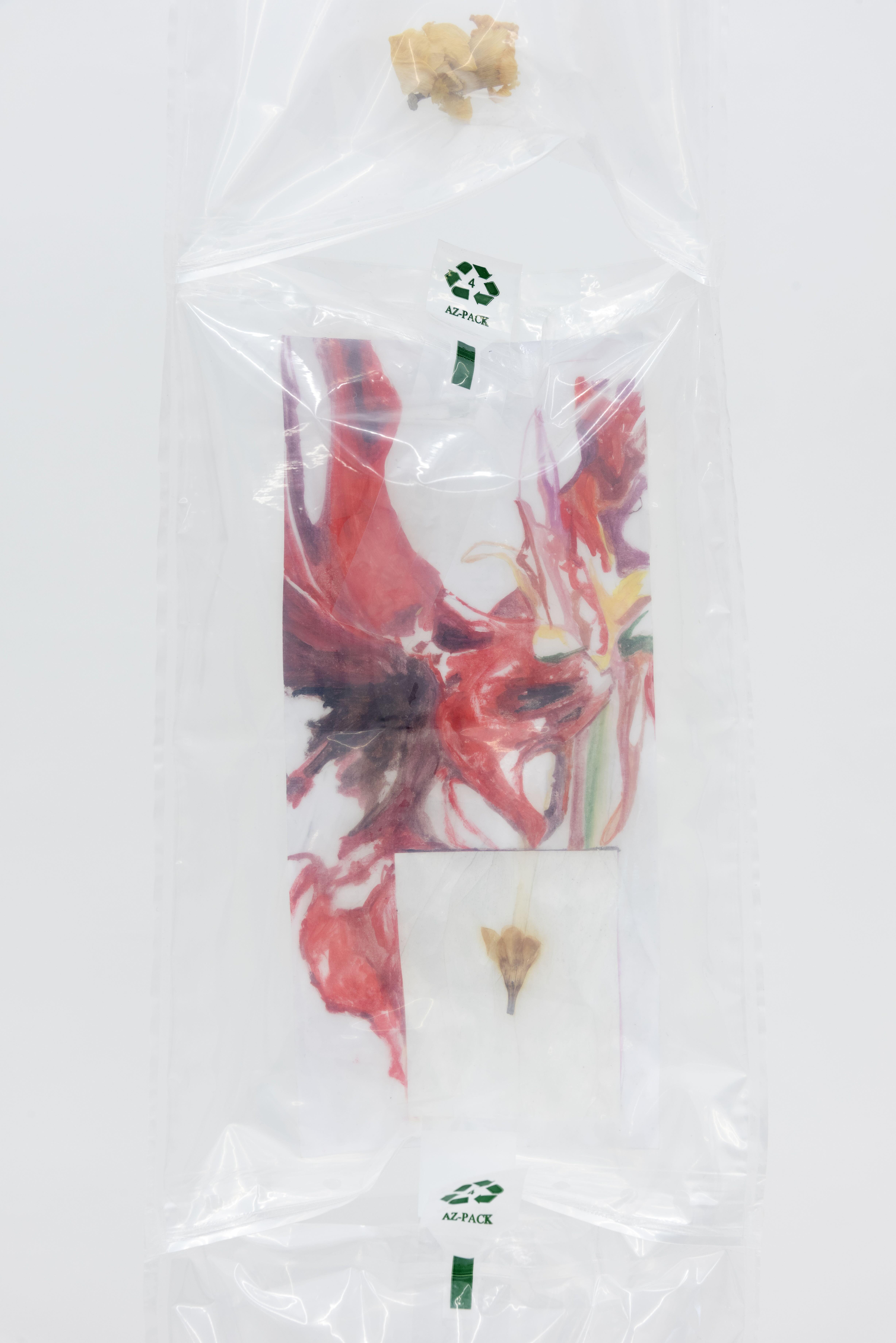 Adriana Jaroslavsky - Amulætos - detail