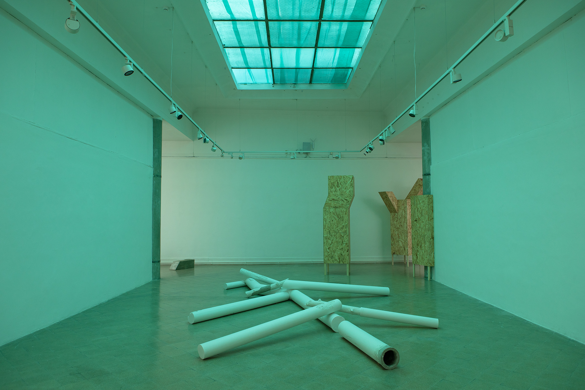 Exhibition view: Tünde Mézes „Has Never Seen a Tree”, 2026