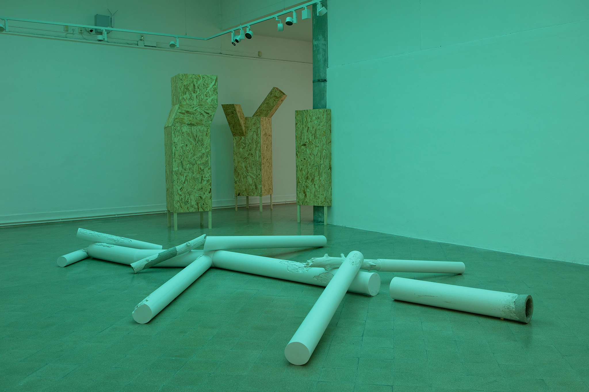 Exhibition view: Tünde Mézes „Has Never Seen a Tree”, 2026