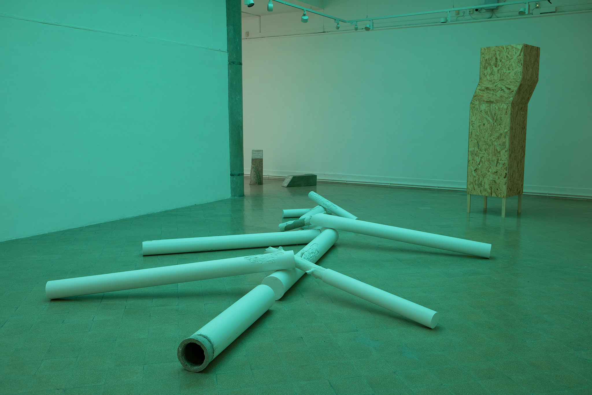 Exhibition view: Tünde Mézes „Has Never Seen a Tree”, 2026