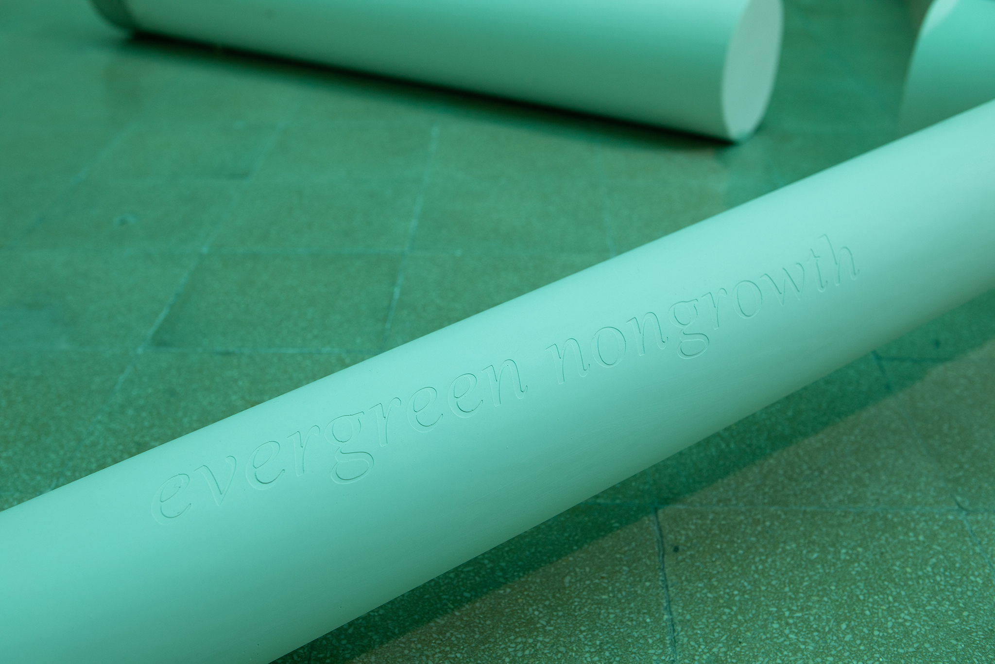 "Evergreen", 2025, plaster, concrete