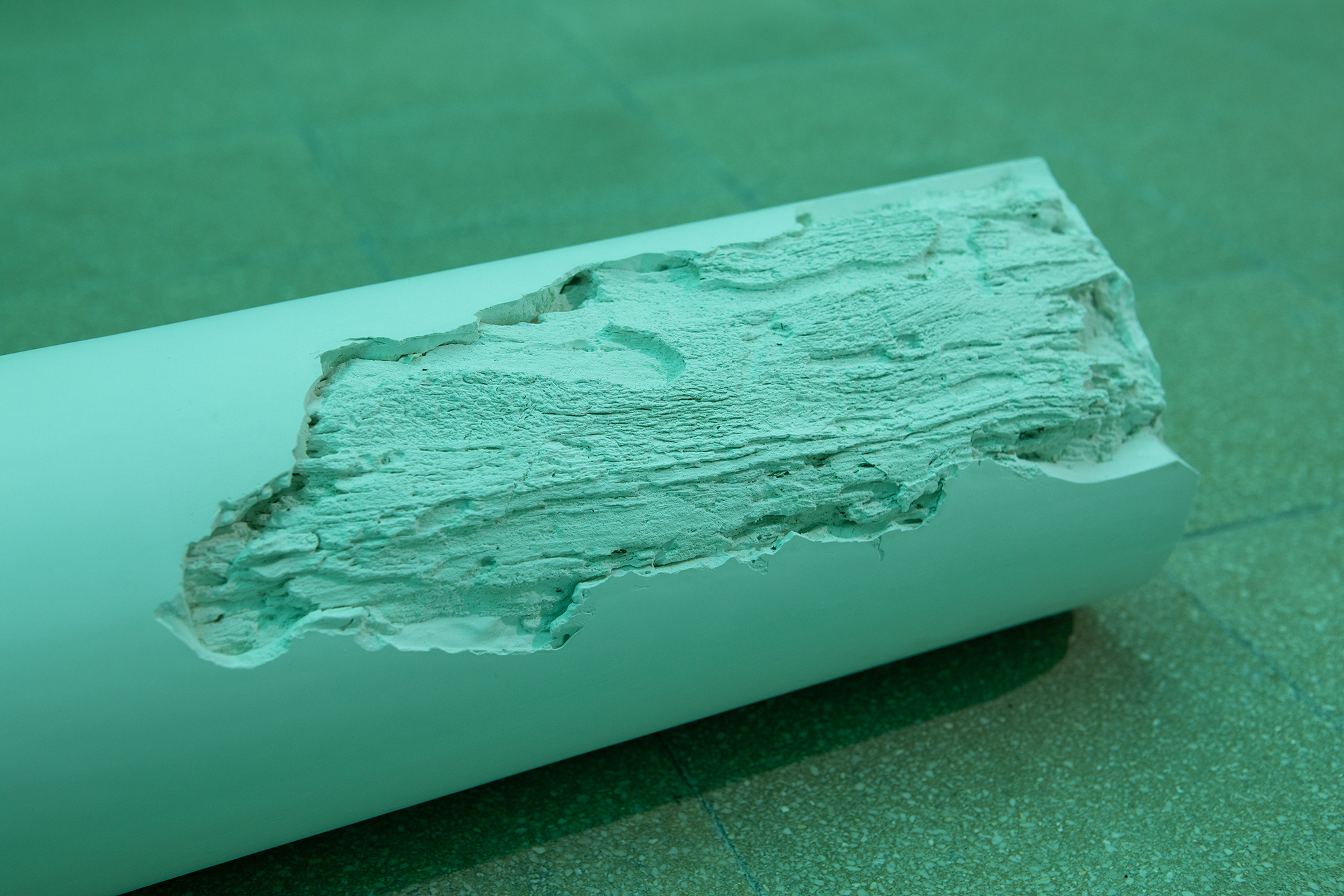 "Evergreen", 2025, plaster, concrete