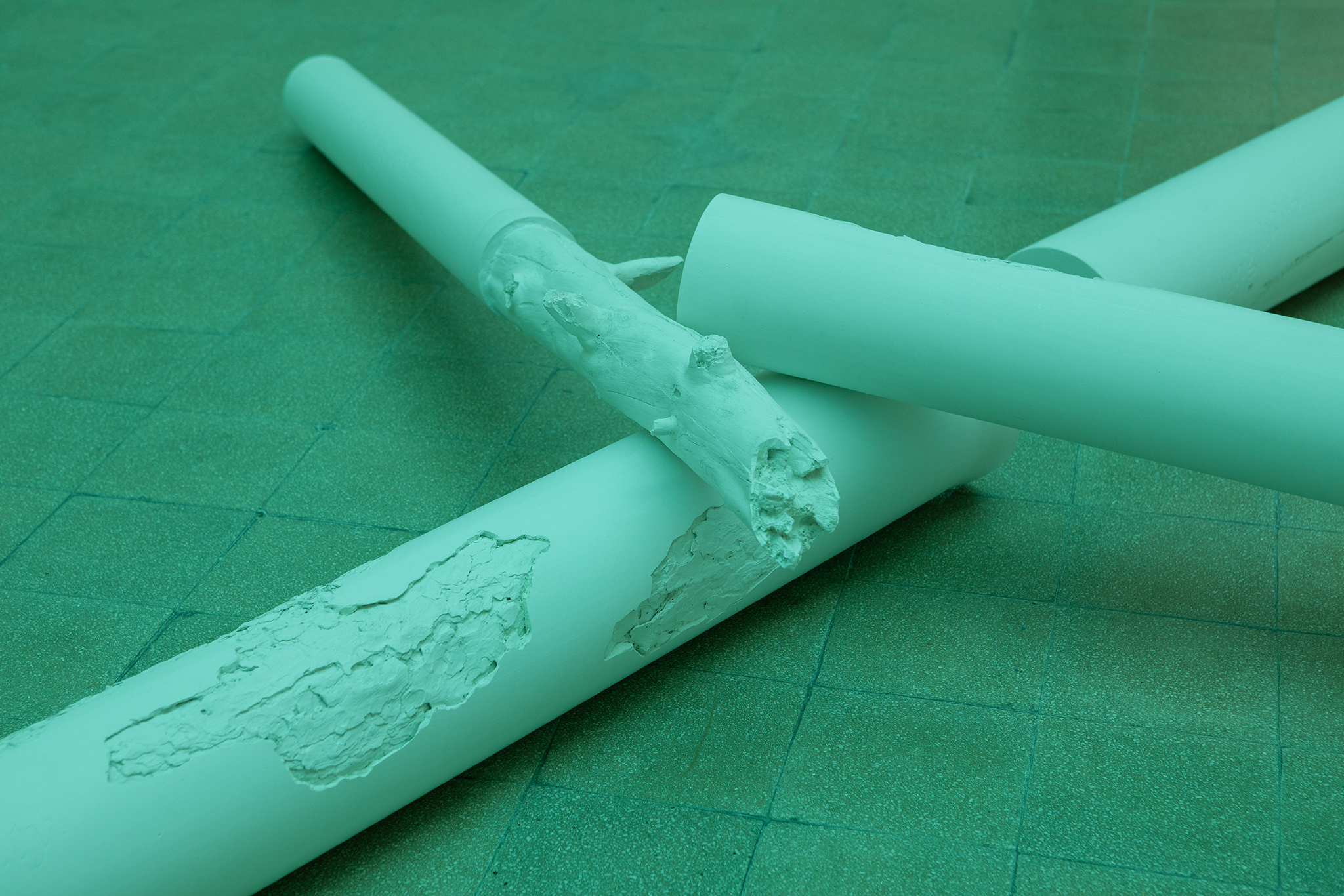 "Evergreen", 2025, plaster, concrete