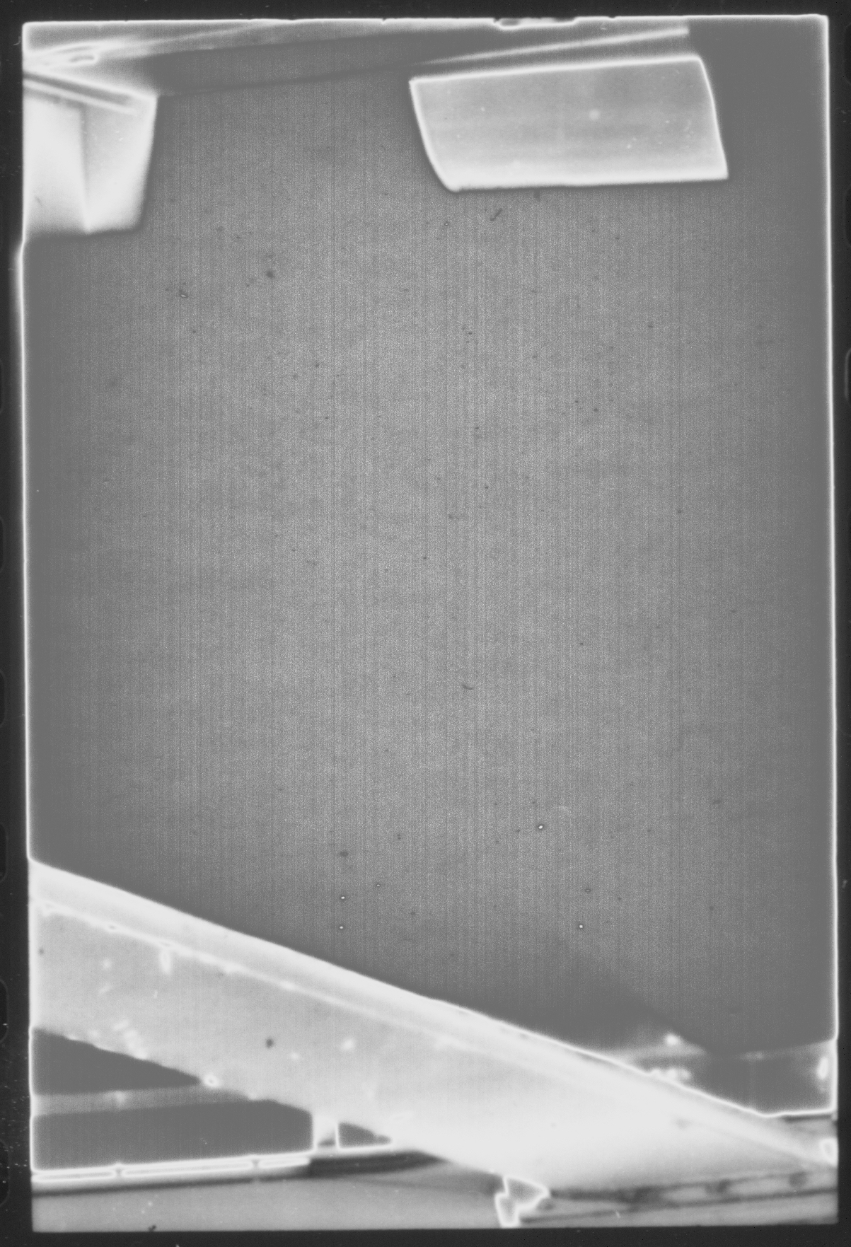 Trisha Donnelly, Astoria 36, 2014, projection of digital image, dimensions variable